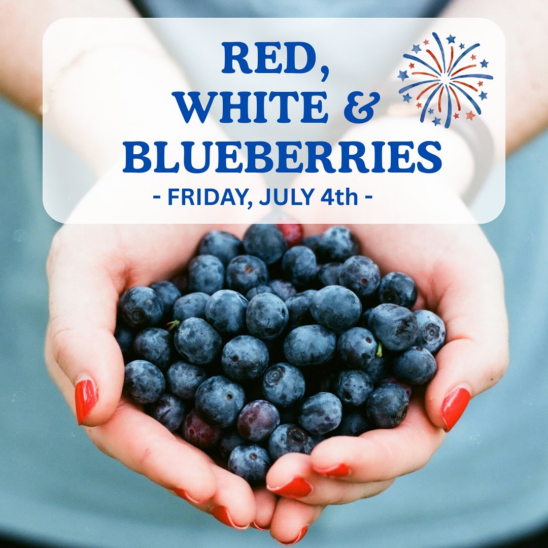 Tomorrow’s the big day! Come celebrate all things Red, White & Blueberries from 8 am to 1 pm! Start the day with some patriotic berry picking then browse the booths & indulge in some delicious treats from our fabulous vendors including:
☕️ Commonplace Coffee
🌾 Lone Oak Farm
🍰 Whisk & Wild Flour
🧼 Smiling Goat Company
🎨 Sam Jam Creative
🍩 Mutiny Donuts
🥪 Kenna’s Korner
🥬 Alter Family Farms