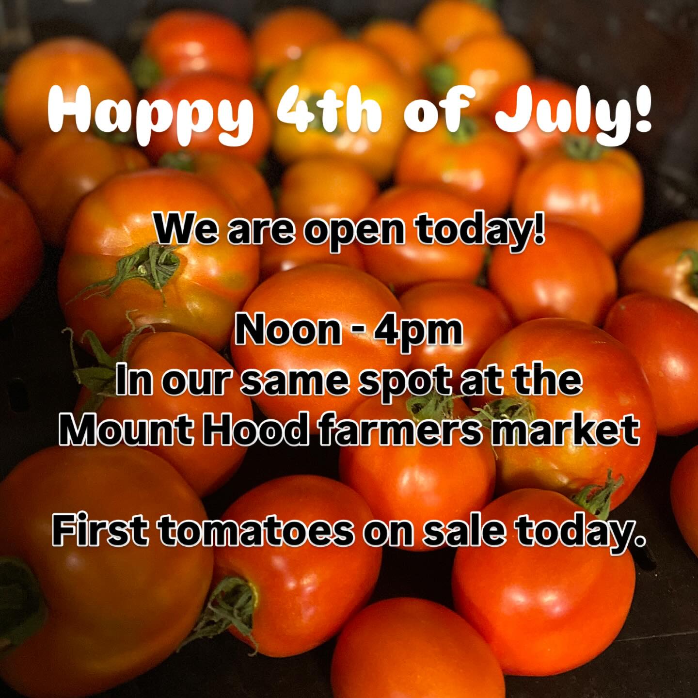 Despite the market being closed, we will still be setup in our same spot. Earlier hours: noon to 4pm.
Lots of new veggies on the table today: first tomatoes, celery, fresh onions, zucchini, new potatoes.
We have all the veggies you want for your 4th of July grilling needs.
#sliceofheavenfarm