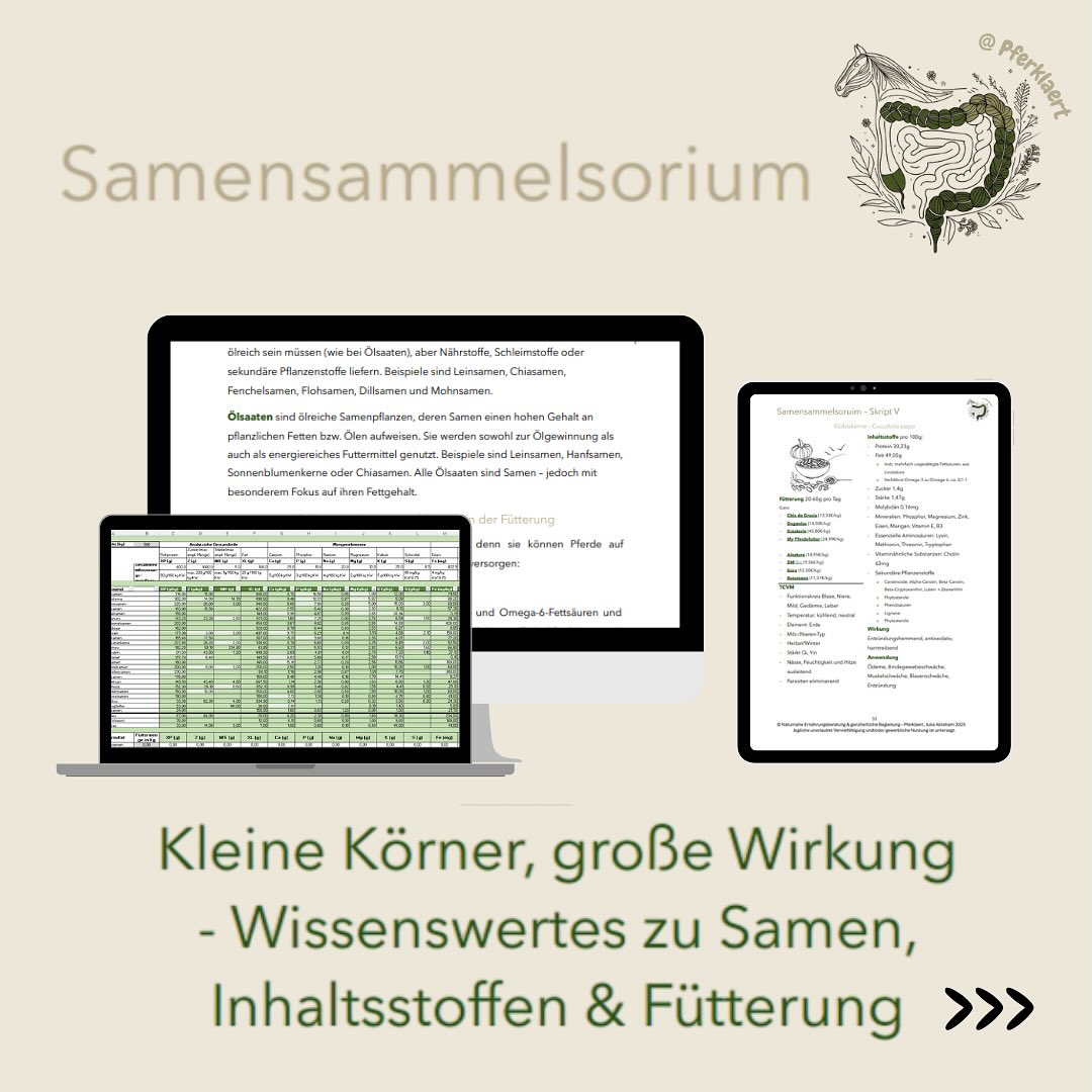 (Werbung) 🌱 Das neue Skript: „Samensammelsorium“ ist da!
Du wolltest schon immer mehr über Leinsamen, Kürbiskerne & Co. wissen und wie du sie sinnvoll in der Pferdefütterung einsetzen kannst? Dann ist dieses Skript genau das Richtige für dich!
Ab heute erhältlich! 👉 Link in der Bio
📚 Was dich erwartet:
✅ 60 Seiten geballtes Wissen über Samen, Kerne und Nüsse
✅ 25 detaillierte Steckbriefe mit Infos zu Nährwerten, Vitaminen, Aminosäuren, sekundären Pflanzenstoffen & Co.
✅ Fütterungsempfehlungen, Anwendungshinweise & Produktideen
✅ Praktischer Bezug zur TC(V)M
✅ Inklusive umfangreicher Rechen- & Vergleichstabelle für individuelle Mischungen
💡 Fun Facts aus dem Skript – wusstest du schon…?
🔸 Kürbiskerne liefern über 30 g Protein & fast 50 g Fett pro 100 g – ein echtes Powerpaket für Pferde mit Energiebedarf
🔸 Viele Samen wirken entzündungshemmend & schleimhautschützend – ideal für den Magen-Darm-Trakt
🔸 Der Gehalt an sekundären Pflanzenstoffen wie Lignanen, Phytosterolen oder Carotinoiden macht sie zu echten Mikronährstoff-Stars!
🔸 In der TCVM werden Samen z. B. zur Unterstützung von Milz, Niere und Leber eingesetzt – je nach Temperatur- & Geschmackseinfluss
🌾 Warum du das Samensammelsorium brauchst:
Weil es dir fundiertes Wissen gibt, um individuelle Futtermischungen sinnvoll zu gestalten, gezielt Probleme zu unterstützen und gleichzeitig die Vielfalt der Natur in den Trog zu holen.
Ob als Öl-Ersatz, Schleimstoffquelle oder Vitalstoff-Booster – Samen sind kleine Körner mit großer Wirkung.
🎯 Für Fachleute, Fütterungs-Nerds & alle, die mehr als nur ein „Körnchen“ Wissen wollen.
Jetzt entdecken & runterladen – dein Pferd wird’s dir danken! 🐴💚
🚨Der Sale gilt bis 15.07🚨
#pferklaert #pferd #pferdetherapie
#ernährungsberatung #futterberatung #pferdefutter #pferdegesundheit #fütterung #pferdewissen #pferdehaltung #reitsport #equestrian #wissenswert #pferdetipps #propferd #pferdetraining