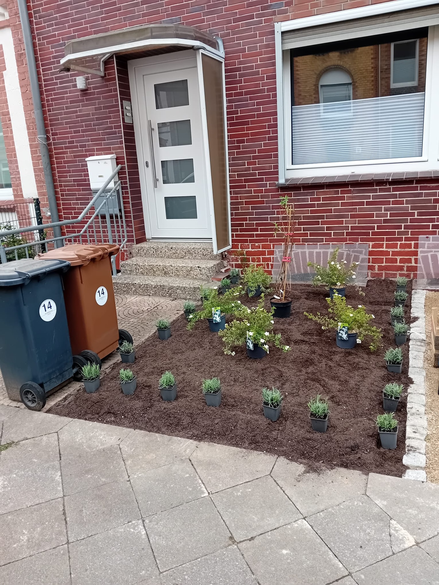 Vorgarten mit Funktion – neu gedacht.
In der Gellersstraße in Lüneburg durften wir einen ungenutzten Eingangsbereich komplett neu gestalten – funktional, langlebig und grün.
Unsere Leistungen im Überblick:
✔️ Fläche auskoffern und fachgerecht entsorgen
✔️ Granit-Kleinpflaster zur Einfassung gesetzt
✔️ Aufbau einer stabilen Tragschicht aus Sabadyn und abschließender Deckschicht aus Sabalith
✔️ Fahrradanlehnbügel FLORIDA aus verzinktem Stahl montiert
✔️ Pflanzung von Lavendel, Fünffingerstrauch und Sommerflieder, inklusive veganem Dünger
✔️ Abschluss mit frischer Komposterde für ein vitales Pflanzumfeld
Das Ergebnis: Ein einladender, strukturierter Vorgarten mit integrierter Fahrradfläche – pflegeleicht, durchdacht und mit viel Liebe zum Detail umgesetzt.
Die Gollo – 365 Tage im Jahr für euch im Einsatz.
#DieGollo #Vorgartenliebe #Granitpflaster #Sabalith #Fahrradständer #GaLaBau #Gartenbau #Lüneburg #VorherNachher #FunktionTrifftGestaltung #Gartenneugestaltung #365TageImEinsatz