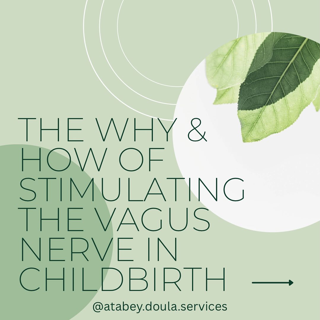 Let’s normalize “boring” childbirth. Not all births are “movie” births. Hollywood has to make it interesting so it sells. *cue huge gush of water breaking in the middle of the grocery store only to be rushed to the hospital and have the baby in the parking lot*
But you? Your job is to mind your business and birth that way you need to whether that’s roaring like a lion or as quiet as a mouse. Understanding that a lot of the discomfort in birth comes from resistance will bring you closer to a better birth.
Writing this post reminds me about how I labored with deep breathing and humming and also some grunting. It also reminds me of how my grandma passes her entire day humming while doing mindless tasks.
The breathing exercises shared are only two of the ways to stimulate your vagus nerve for an easier birth experience.
Let me know what else you suggest to support the vagus nerve during childbirth in the comments below!👇🏾👇🏾👇🏾
#doula #childbirth #polyvagaltheory