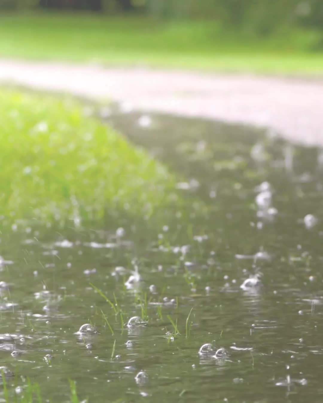 🌧Forecast = Storms Ahead
Step out of the stormy weather and Indulge in Our Spa Expierences...
💎Signature Massages
💎Glow-enhancing Custom Facials
💎Herbal Rituals
💎Luxe Robes & Calming Teas
and a World Away from the Everyday
Book Online at TheCompassSpa.com
#BestSpaInTampa #MagicalMassage #SpaDayRetreat #WellnessRevice #ReAlignRetreatAtTheCompassSpa