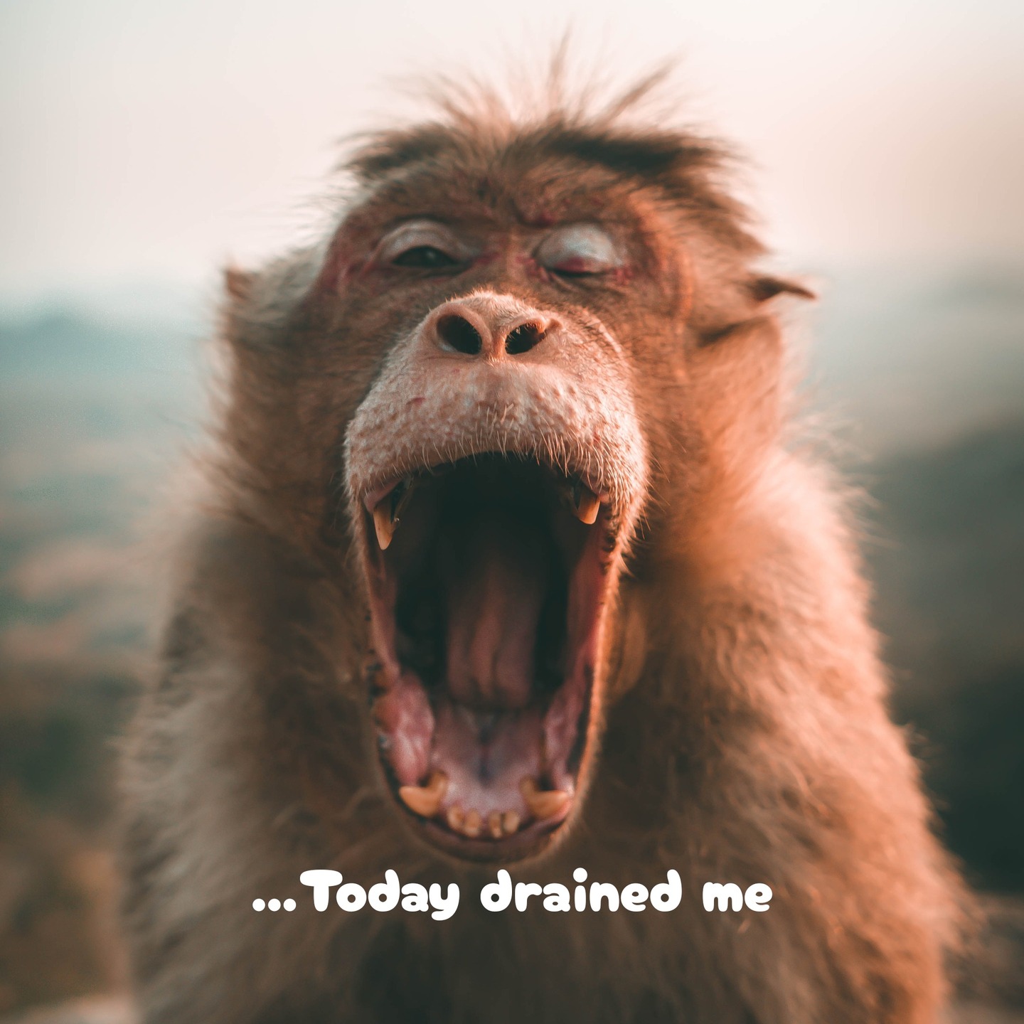 🌙 Feeling Drained? You’re Not Alone. 🌙
Life can be a lot — the responsibilities, the expectations, the constant go-go-go. It’s easy to feel worn down, especially when you give so much of yourself to everyone else. 💛
At PTTCT, we want to remind you:
You deserve care too.
You deserve rest.
You deserve peace.
Here are simple ways to wind down and refuel your spirit at the end of the day:
🌿 Take a few deep, grounding breaths
🛁 Run a warm bath or take a slow shower
📖 Journal your thoughts or a few gratitudes
🕯️ Light a candle and sit in stillness
🎶 Play soft music and stretch your body
💬 Talk to someone who brings you calm
🌙 Sit with your child, read a story, share a high & low from the day
🙏🏾 Speak affirmations: “I did my best today. Tomorrow is a new chance.”
✨ Don’t forget: refueling doesn’t require perfection.
It just takes a few intentional moments to pour back into yourself.
You are doing more than enough.
You are not alone.
And you are deeply worthy of rest, joy, and encouragement.
With care,
— PTTCT: Providing Tools To Change Tomorrow
#PTTCT #EmotionalWellness #MentalHealthMatters #WindingDown #SelfCareRituals #ParentSupport #EndOfDayPeace #YouDeserveRest #GentleReminders #RestIsHealing #TakeCareOfYou #ProvidingToolsToChangeTomorrow