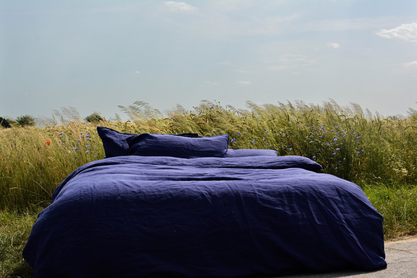 SUMMER SALE STARTET JETZT! 🌿
Mach dein Zuhause bereit für den Sommer: Spare bis zu 40 % auf nachhaltige Bettwäsche aus Hanf, Bio-Baumwolle & Leinen – fair, zeitlos, wunderschön.
Frische Bettwäsche in Sommerfarben
👉 Nur für kurze Zeit – jetzt shoppen mit dem Rabattcode SUMMERSALE25
https://www.nanoa.de/schlafen
#summersale #nachhaltigwohnen #greenliving #fairfashion #bio #bettwäsche #homesweethome #nanoabettwäsche #mynanoahome #hemphome #hanfbettwäsche #hempbedlinen #livewithnature #heimtextilien #nachhaltig #fair #nachhaltigleben #natürlichwohnen #organiccotton #plastikfrei #schlafen #sleep #gemütlich #thermoregulierend #stilvoll #ökologisch #ecological #linen #leinen