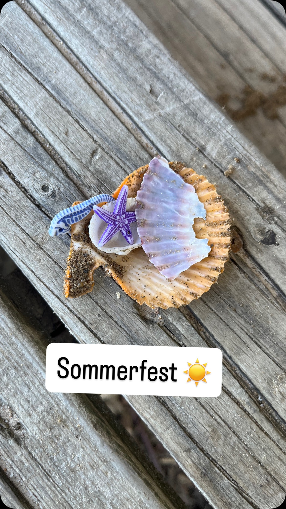 Am Wochenende fand unser Sommerfest statt: Ganz unter dem Motto Unterwasserwelten 🌊🐠🎣
Als Einstig haben die Kinder ihren Fischetanz aufgeführt und am Ende haben alle mitgemacht 💪🏻
Dann wurde alles erklärt und jedes Kind hat einen Fisch bekommen.
Es gab verschiedene Stationen und an jeder Station gab es eine Schuppe für die Fischkarte:
- Barfuß 🦶Pfad
- Meerestiere fischen/ angeln 🎣🐋
- Schätze im Sandkasten suchen 🐚💎
- aus Salzteig Meerestiere formen 🪼🪸🐡
- Klettern um nach Piraten Ausschau zu halten
- ein Fischernetz gestalten
- Kinderschminken
Wir hatten ein schönes Fest, mit schönem Wetter, gutem Essen und ganz viel Spaß und guter Laune.
#wald #waldkindergartenliebe #waldkindergartenpädagogik #waldkind #waldkinder #waldkindergarten #kita #kinder #kindergartenkind #sommerfest #vlotho #spass #spaß #familie