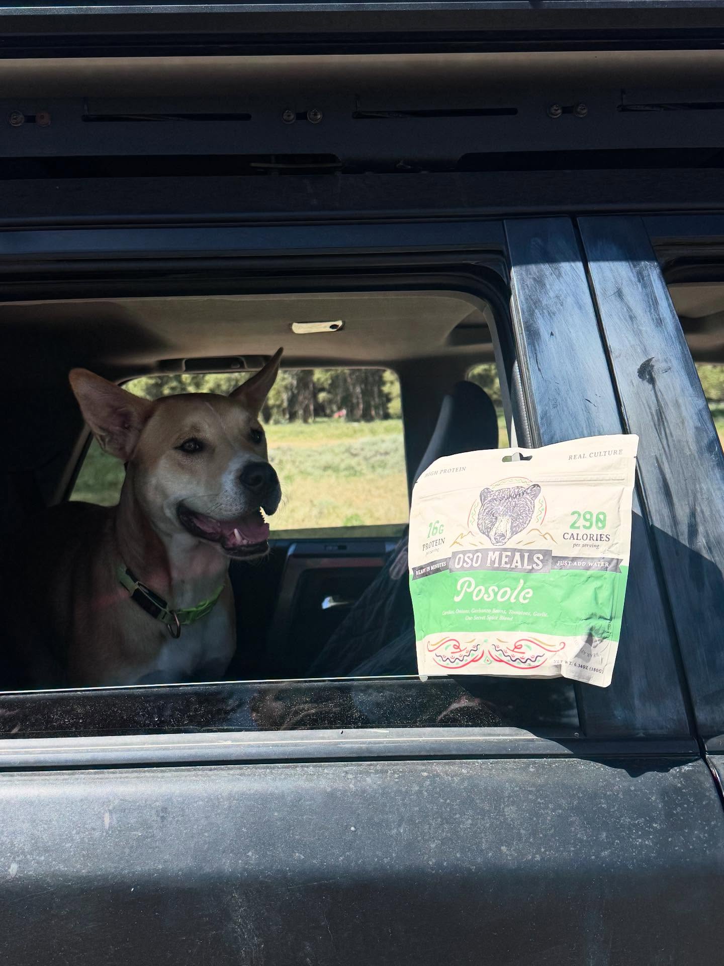 Pro tip: you can save your marketing budget by using cute pups as models🐶
Regardless of how things are going, don’t forget to take a break, breath, and explore ❤️
#rockiemountains #adventure #campinggear #osoadventuremeals #pozole
