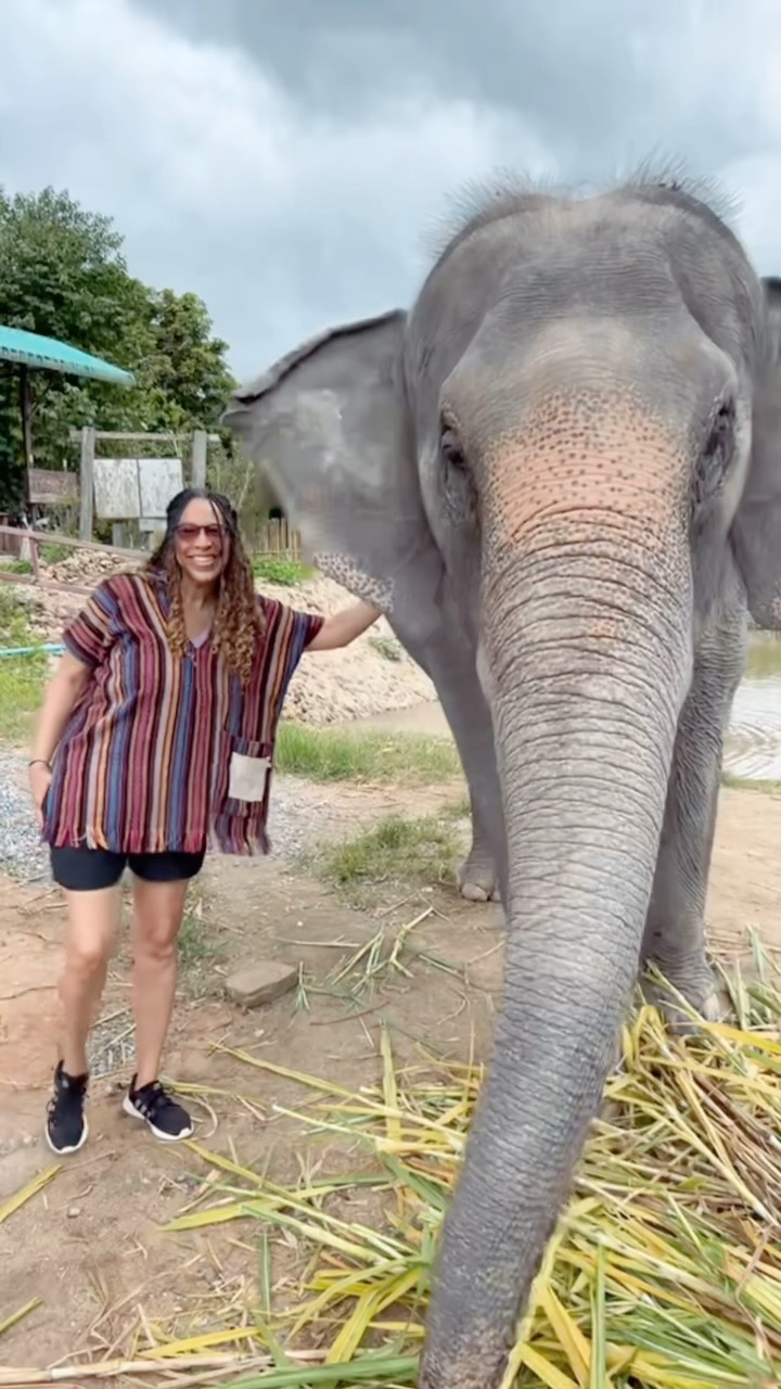 Making unforgettable memories at Elephant Jungle Sanctuary 🐘
#myrooftopstories #travelgram #chiangmai #elephantconservation