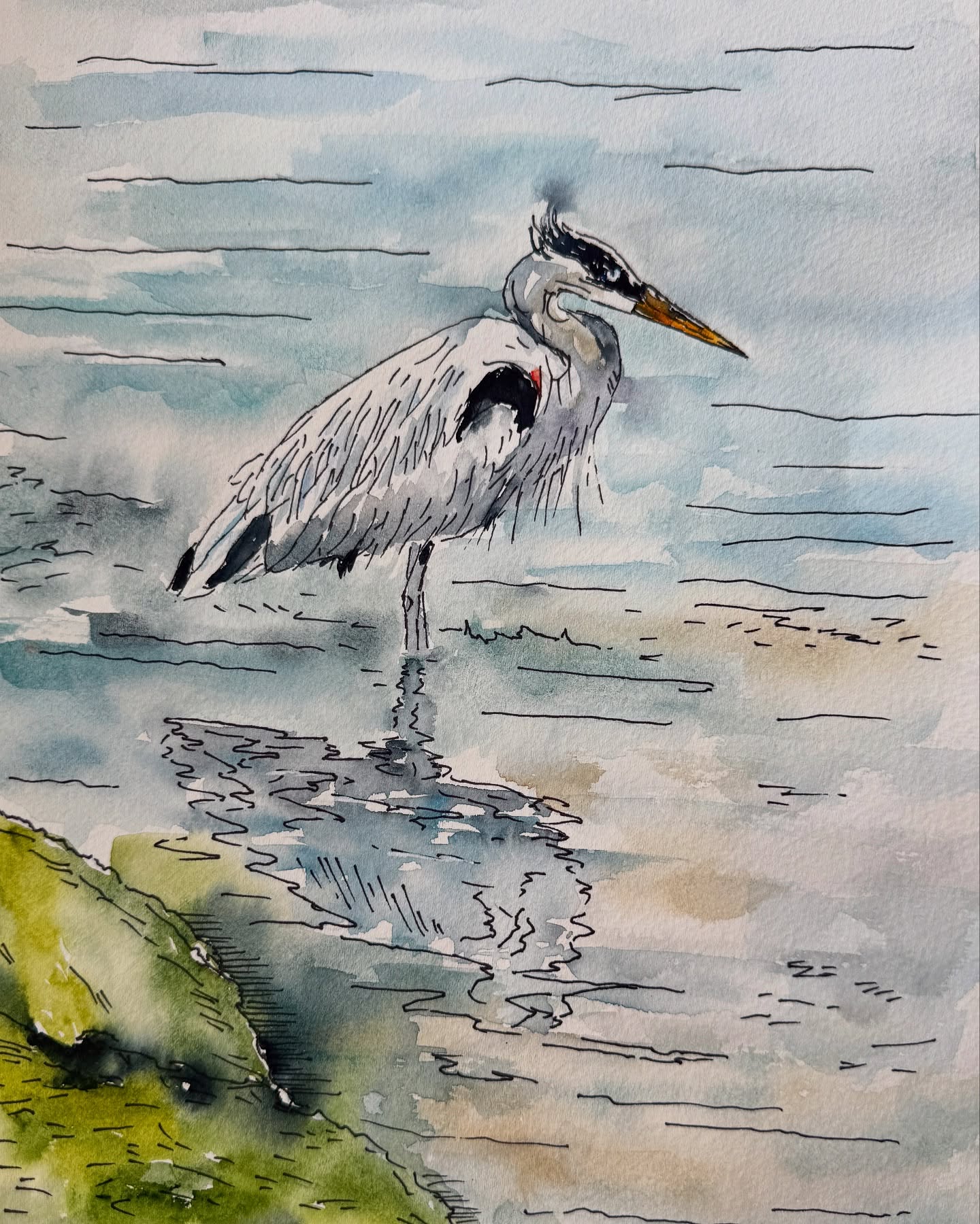 A heron I captured with a photo down in Coal Harbour - then I painted it. Watercolour on Fabriano 140lb cp 9x12
#danielsmithwatercolors #fabrianoartistico #opuspleinairchallenge #opusdailypractice #opusartsupplies #vancityart #artforsale #painteveryday #practicemakesprogress #carolynbaroneartist #carolynbrysonbarone #heron #coalharbour #coalharbourvancouver #birdwatercolour