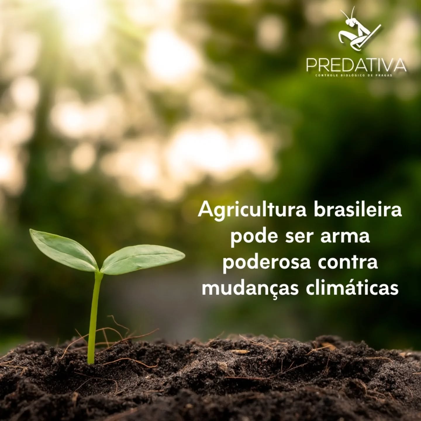 No caminho de uma agricultura mais sustentável, a #predativa desenvolveu uma solução que utiliza automação para produção on farm de agentes #macrobiologicos utilizados no combate às pragas agrícolas.
A solução é uma alternativa inteligente do Manejo Integrado de Pragas que colabora para a diminuição do uso de defensivos químicos, preservação do solo e equilíbrio agroecológico.
Visite nosso site no link da bio e conheça mais!
Fonte: Jornal da USP
#manejointegradodepragas #mudançasclimáticas #sustentabilidade #agroecologia #macrobiológicos #bioinsumos