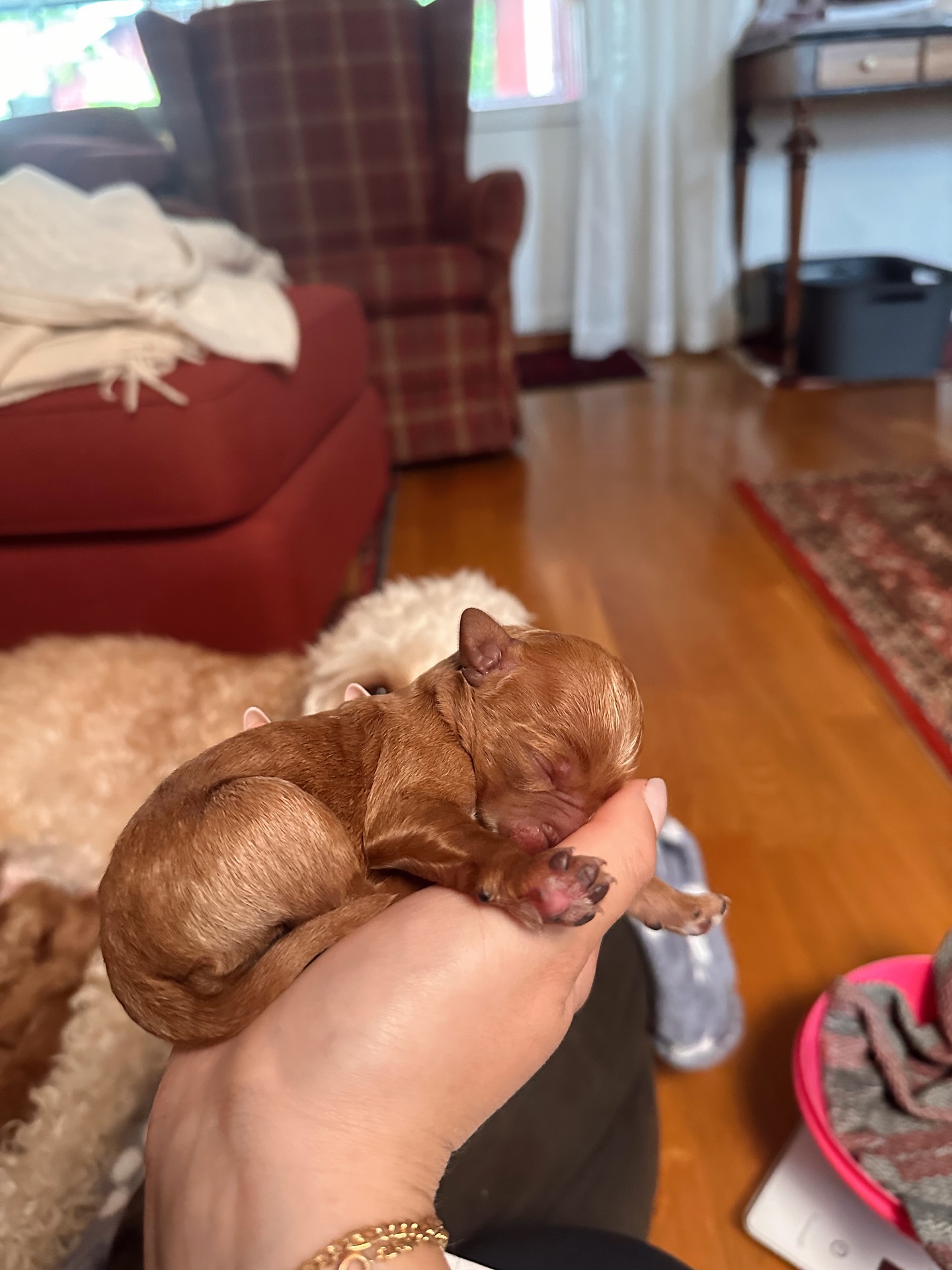 Finally got to meet Them Yesterday🥹