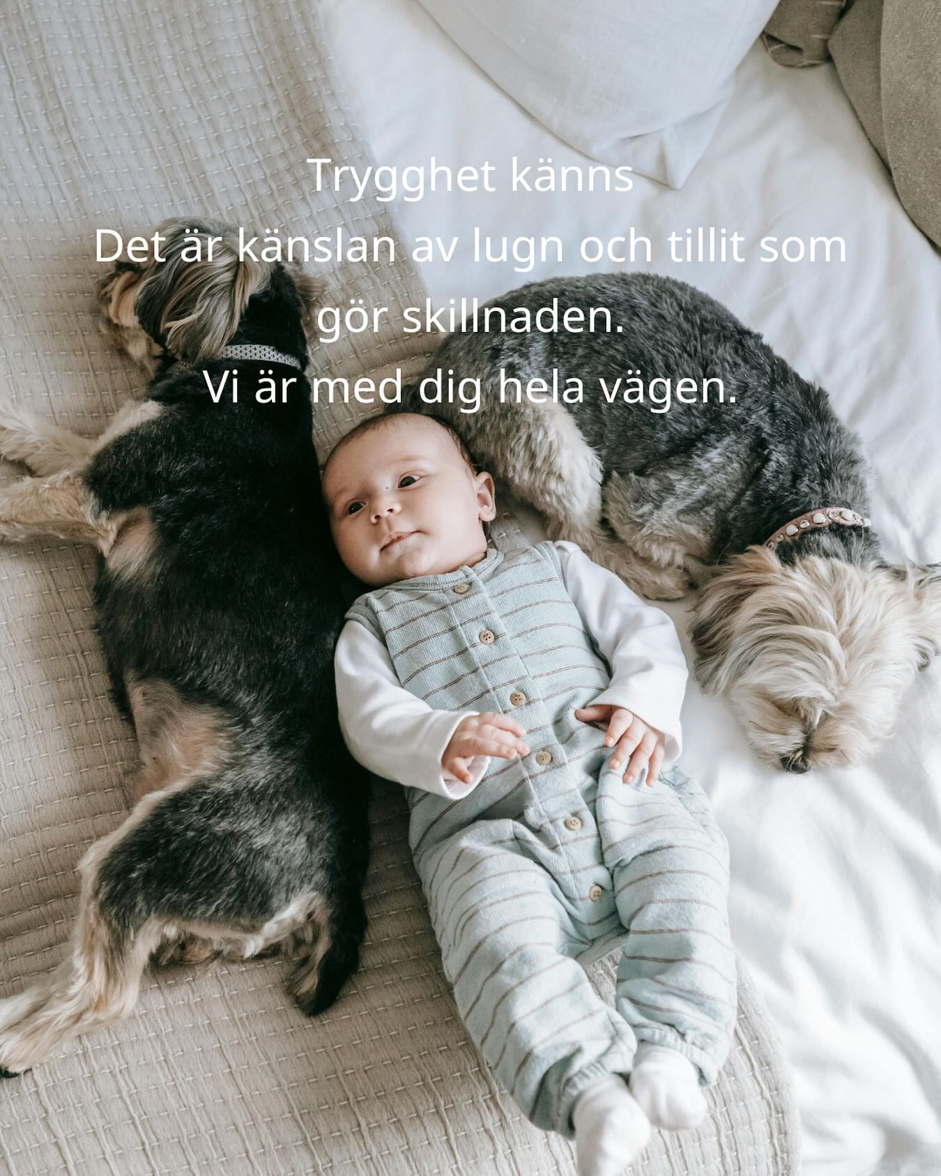 TRYGG UTHYRNING BÖRJAR HÄR
Hos Passion for Homes kombinerar vi över 15 års erfarenhet med personligt engagemang, för att göra uthyrningen enkel, säker och lönsam.
Vi är med dig hela vägen, från första kontakt till sista hyresdag.
#TryggUthyrning #PassionForHomes #HyraUtMedStöd #Uthyrning
#HyraBostad #Hyresvärd #Hyresrätt #Uthyres #HyraLägenhet #HyraRum
#HyraIStockholm #BostadStockholm #UthyrningStockholm #TryggUthyrning #HyrUtTryggt