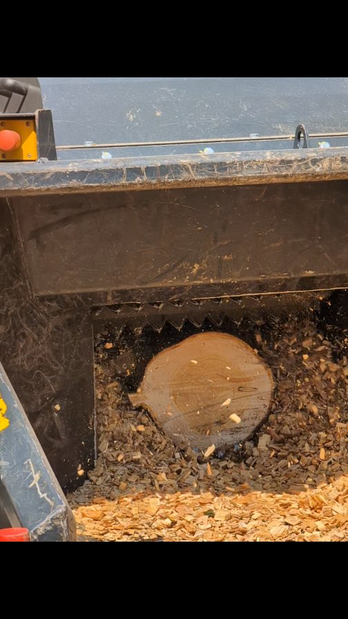 A rather warm removal of a partially failed Cypress that had already made a mess of the boundary fence and missed the neighbours garages by feet 🌲 @m1waymason delivering the hard graft in the tree battling the sweltering sun 🌞 and of course the mighty Ufkes from @exsel.plant combined with the Bobcat Arb digger getting where we couldn't get the Heizohack due to access width restrictions 🍟
#treeremoval #andovertreesurgeon #winchestertreesurgeon #hampshiretreesurgeon #wiltshiretreesurgeon #salisburytreesurgeon #southamptontreesurgeon #chandlersfordtreesurgeon #chilworthtreesurgeon #treesurgery #arborist #treecontracting #onetwotree