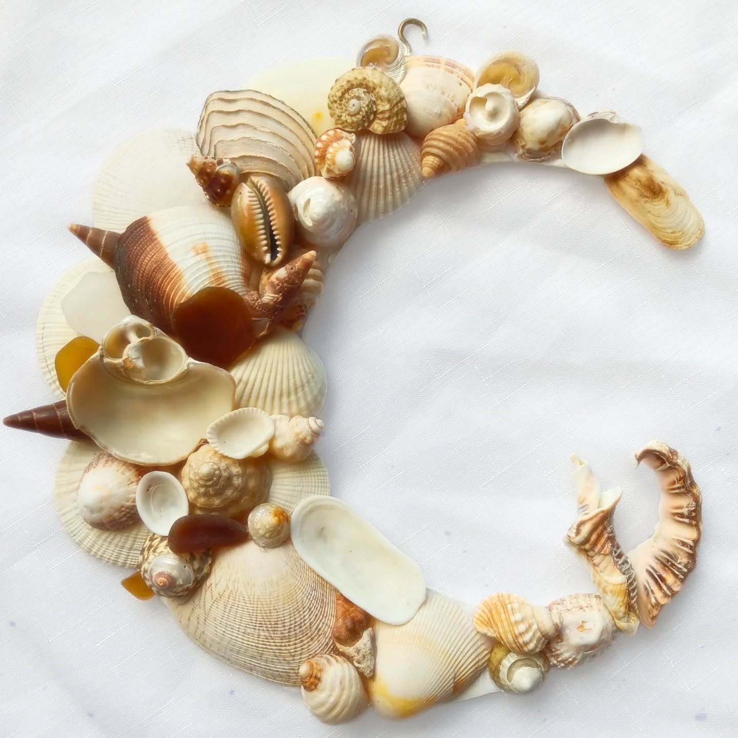 Liora, the Harmony Shell Moon by Xoe (the Shell Oracle) is a unique combination of ocean treasures and crystals, crafted to embody the energies of 〰️
RESILIENCE • ADAPTABILITY • HARMONY
🕯️🌟 Liora, meaning "light" symbolises resilience and hope. Like a guiding light through life’s challenges, this moon invites strength, calm, and clarity into your space, helping you embrace life’s flow with grace.
🐚🤍Every shell, curve, and texture was intuitively placed, a symphony of nature’s endurance and elegance. A moon for the sensitive, the seekers, and those learning to trust their shape in every season.
💬 “I am resilient and adaptable, harmonised with life’s rhythm and the ocean’s enduring spirit”
Place her in your sacred space as a beacon of grace, strength and flow 🌊 Let her remind you: like the moon, you are ever-changing and ever whole.
DM me for custom creations, collabs & current creations.
#ShellOracle #MysticMoon #OceanMagic #SacredArt #Energy #Alchemy #Liora #Resilient #Spirit #IntuitiveArt #XeniaOnEarth #TheShellOracle #Lightworker #xoe #ShellReadings