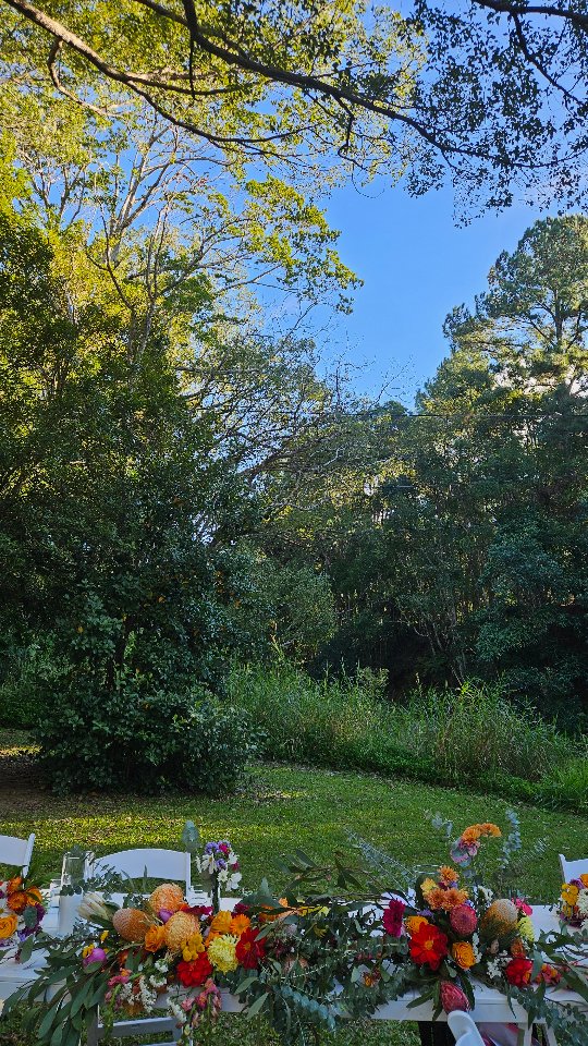 So much work and thought goes into your wedding ceremony flowers. 🌹
Why not reuse them in another part of your special day?
There are many different ways to reuse your flowers, including wedding table displays, bar decor, and flower gifts for guests.
This beautiful piece was part of the wedding arbour at a recent wedding of Asher and Andre; which was then placed on their wedding table at their reception.
A beautiful way to keep these stunning flowers lasting longer for your special day! 🤍💐