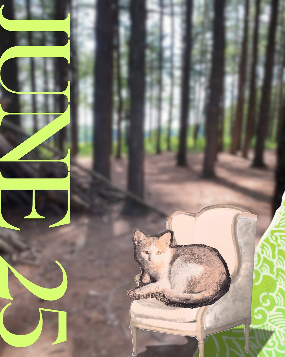 June went by way too fast. I swear I blinked and it was gone!
I finished writing draft three of the Arrogance of Elegance, my Christian Regency Romance, and have sent it off to the editor. Imma try and edit while she is editing it, that way I get ahead of the game.
#writer #author #manuscript #life #june #kitties