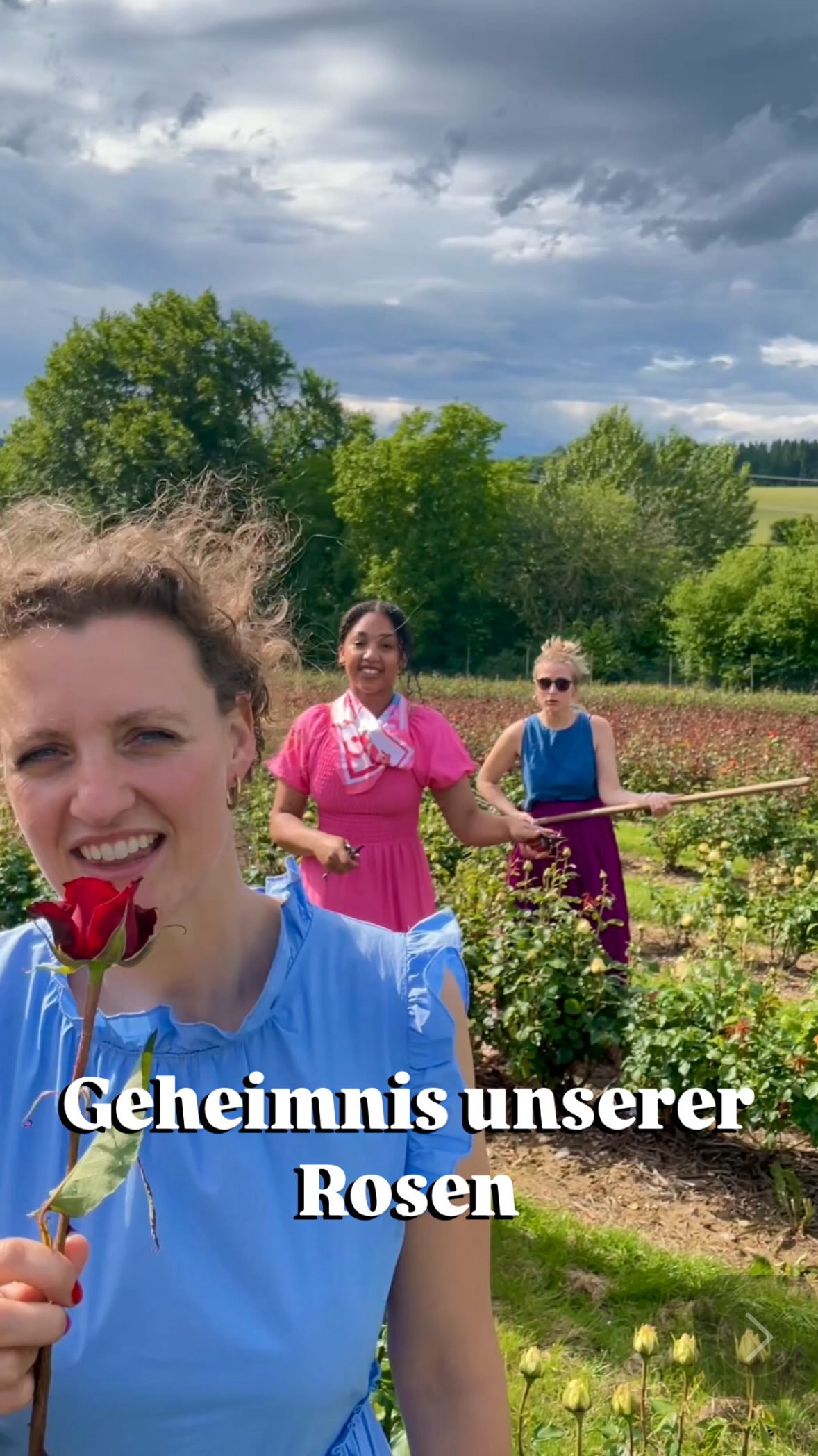 Was wir alles tun, damit unsere Rosen schön werden…
Gießen? Klar.
Pflegen? Natürlich.
Morgens frisch schneiden? Jeden Tag.
Aber manchmal… da singen wir ihnen sogar was vor.
Wir wissen’s nicht genau – aber wir glauben, genau das macht sie besonders. 🌹🎶
Denn unsere Freilandrosen sind gerade auf dem Höhepunkt –
voller Farbe, Duft und guter Laune (genau wie wir beim Dreh).
Kommt vorbei, schnappt euch ein paar Rosen –
und wenn ihr Glück habt,
stimmen wir vielleicht auch noch eine Strophe für euch an. 🎶😉
Euer Markthalle Wassmer Team
#rosenmitliebe #freilandrosen #markthallewassmer