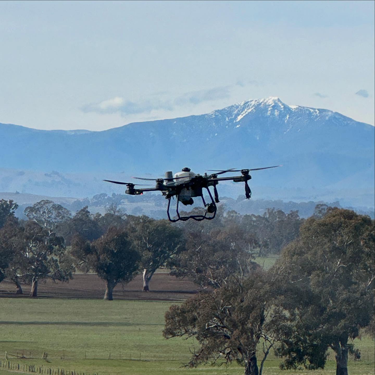 🏔️ ❄️ ⛄️