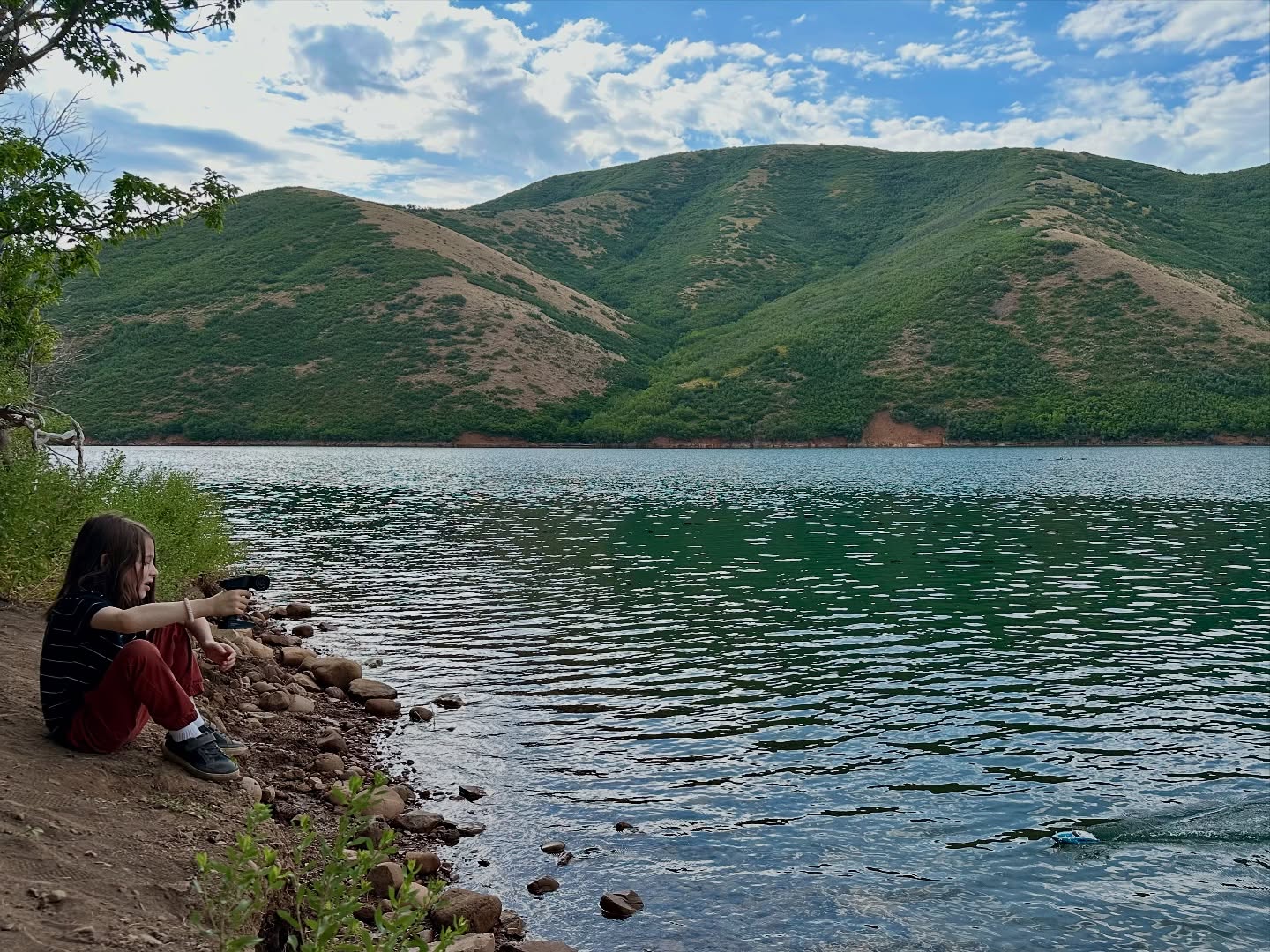 Morning walk around Little Dell Reservoir. Ollie’s testing out the remote control boat. #mountians #lake #beautiful
