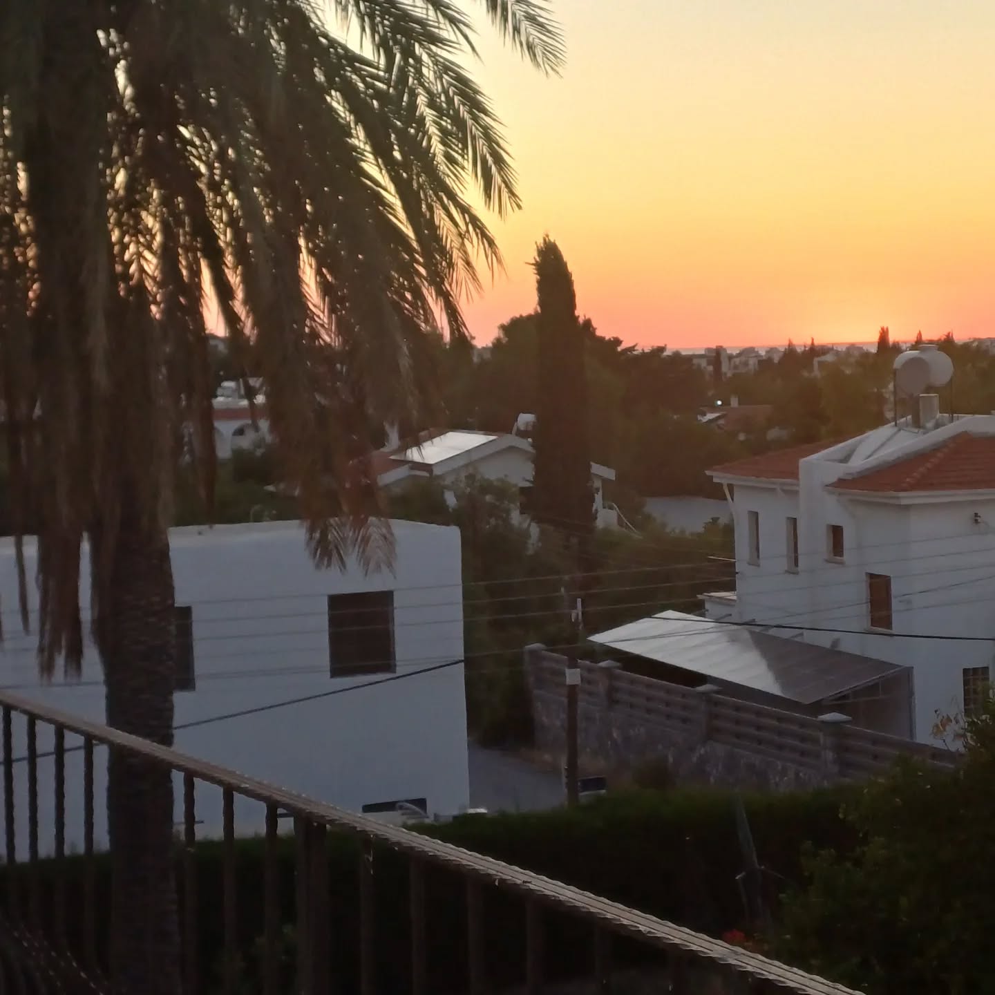 Last sunset in Cyprus. It was a windy day at the beach. We had fish baked in salt and fish salad 🥗 made out of the head. This paired beautifully with boiled Cyprus potatoes made into salad with local red wine vinegar and local pickled caper stems.
It's the simple things in life that I keep coming back to.
How about you?