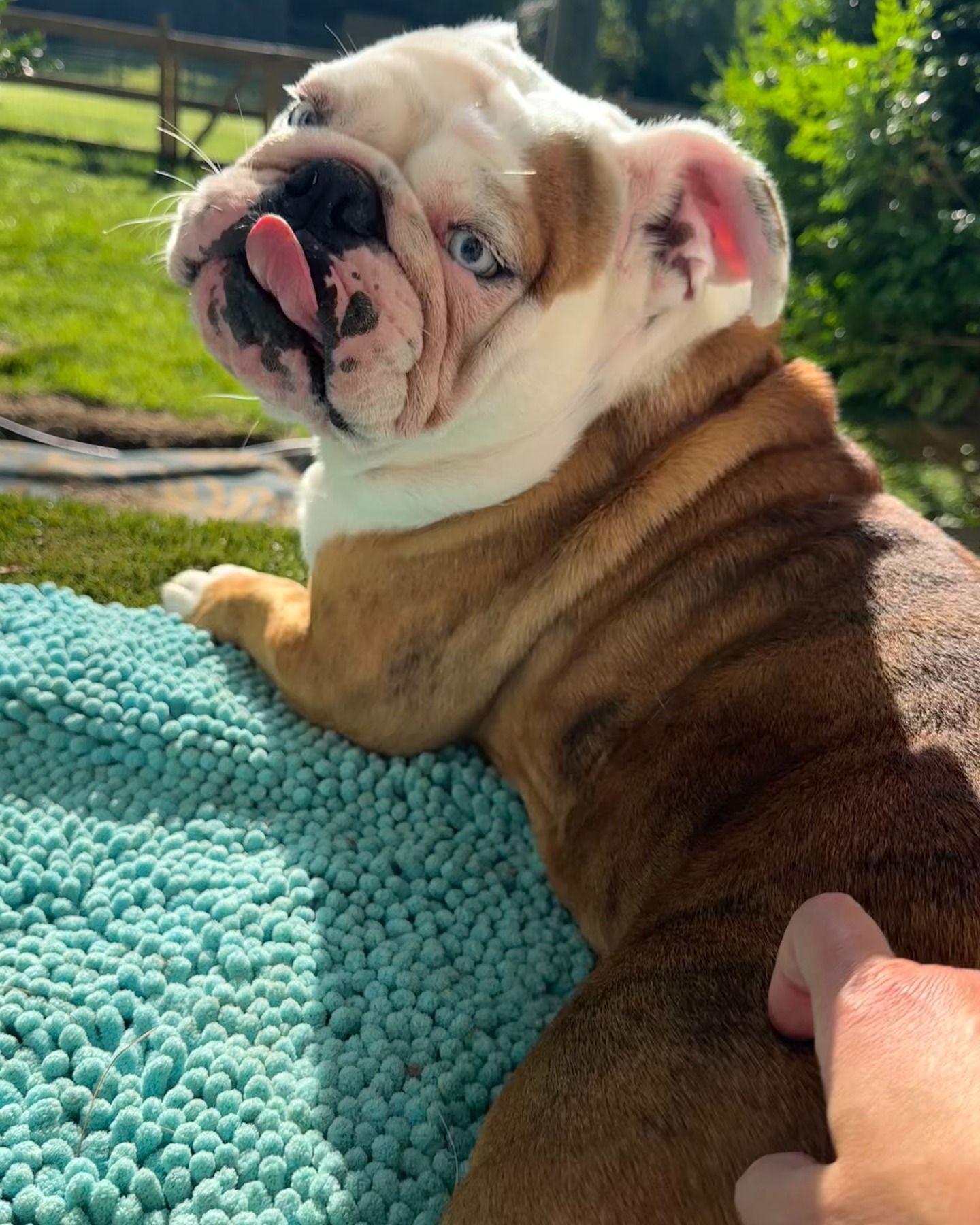 Thankful to be loving on our dogs today.
Our hearts are heavy for everyone affected by the flooding in Texas.
I noticed the @cajunnavy2016 were there helping. It got me thinking. This nonprofit was organized in 2016 when Baton Rouge experienced its “500-year flood.” We lived there at that time. We experienced a devastated community, the heartache of not enough resources and a collective fatigue as people tried to rebuild and return to “normal.”
Repeat again in 2024, Helene in WNC. The same collective feelings of loss. The same exhaustion. The same unknowns and worries. The same desire for life to be like it was before.
It doesn’t happen. Normal doesn’t exist again from a community who has experienced a natural disaster. It almost turns into a new normal.
You do your best to heal, to rebuild, to move-on, but the feeling of loss lingers. You now tell time “pre” or “post” storm. When you gather with friends, you start to sprinkle in some laughter and joy, not forgetting the collective experience you all now share. You're in a club you'd really rather not be apart of. You worry a bit more during a regular rain storm.
Your heart breaks a little extra when you see the news of yet another, natural disaster:-(