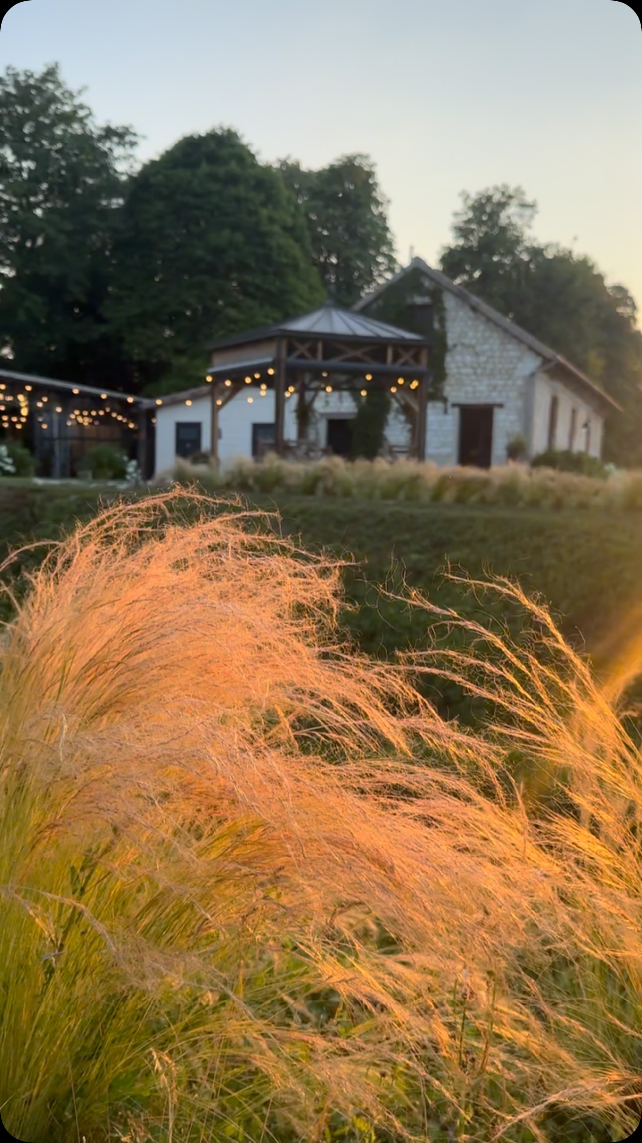 Un soir d’été,
une odeur,
un éclat de lumière …
et soudain, j’ai 10 ans à nouveau.
Et vous ? Quel est le premier souvenir d’un soir d’été qui vous revient quand vous fermez les yeux ?
.
.
.
.
#summervibes☀️ #soirsdété #domainedevaugency #souvenirs #souvenir #souvenirdenfance