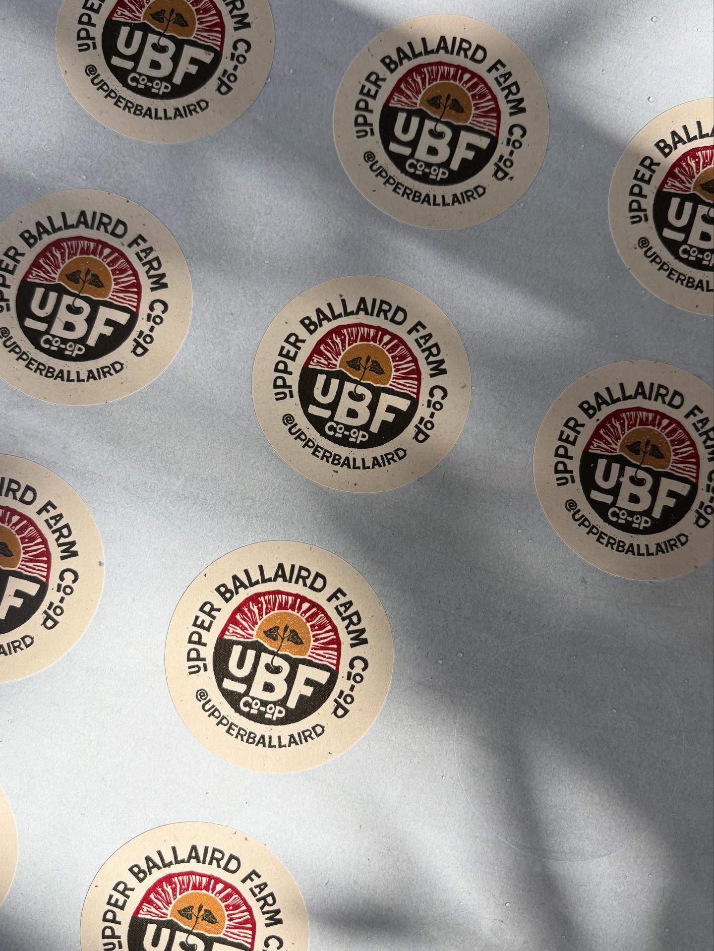 We’ve been continuing our collaboration with @upperballaird and flower grower @eleanorgrowsflowers_ with creative work and printed promo materials; stickers, leaflets and posters to help them promote their local, fresh, seasonal cut flowers which are now available to buy direct for occasions or events, via monthly subscriptions or from local florists.
Lovely to see our creative work out in the wild. 🌸
#designforprint #farmcoop