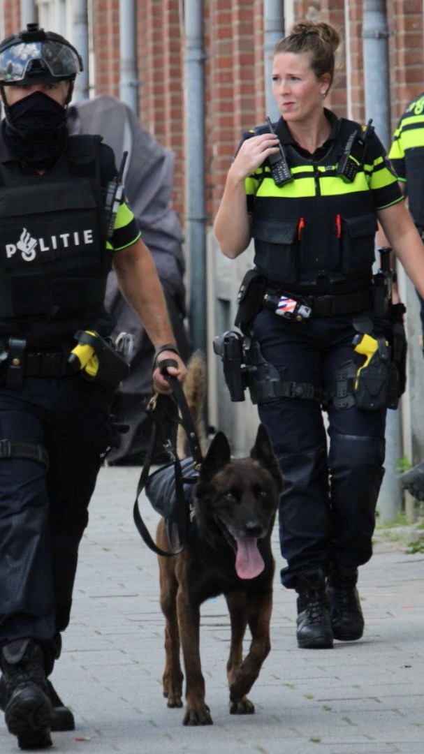 📣Wij zijn #streapp en tonen content van ooggetuigen. Bekijk de compilatie van afgelopen week. Nieuwsgierig naar het platform wat wij ontwikkelen? Volg ons!
#ooggetuige #p2000 #112fotografie #brandweer #ambulance #politie #berging #watiseraandehand #hulpverleners #rijkswaterstaat #handhavers #evenementenfotografie #haaften #denhaag #tharde #rotterdam #deurne #leeuwarden #zoetermeer