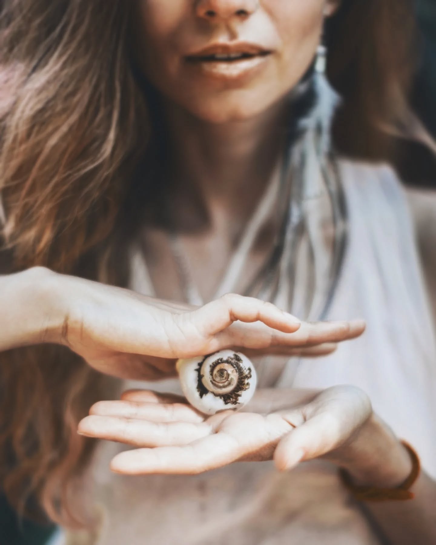 If a shell has ever found its way to you… by beach, by friend, by memory, or by mystery ✨ It may be more than coincidence.
I invite you to share the story of your most special shell in the comments below 🐚
#ShellStories #ShellOracleCommunity #OceanMedicine