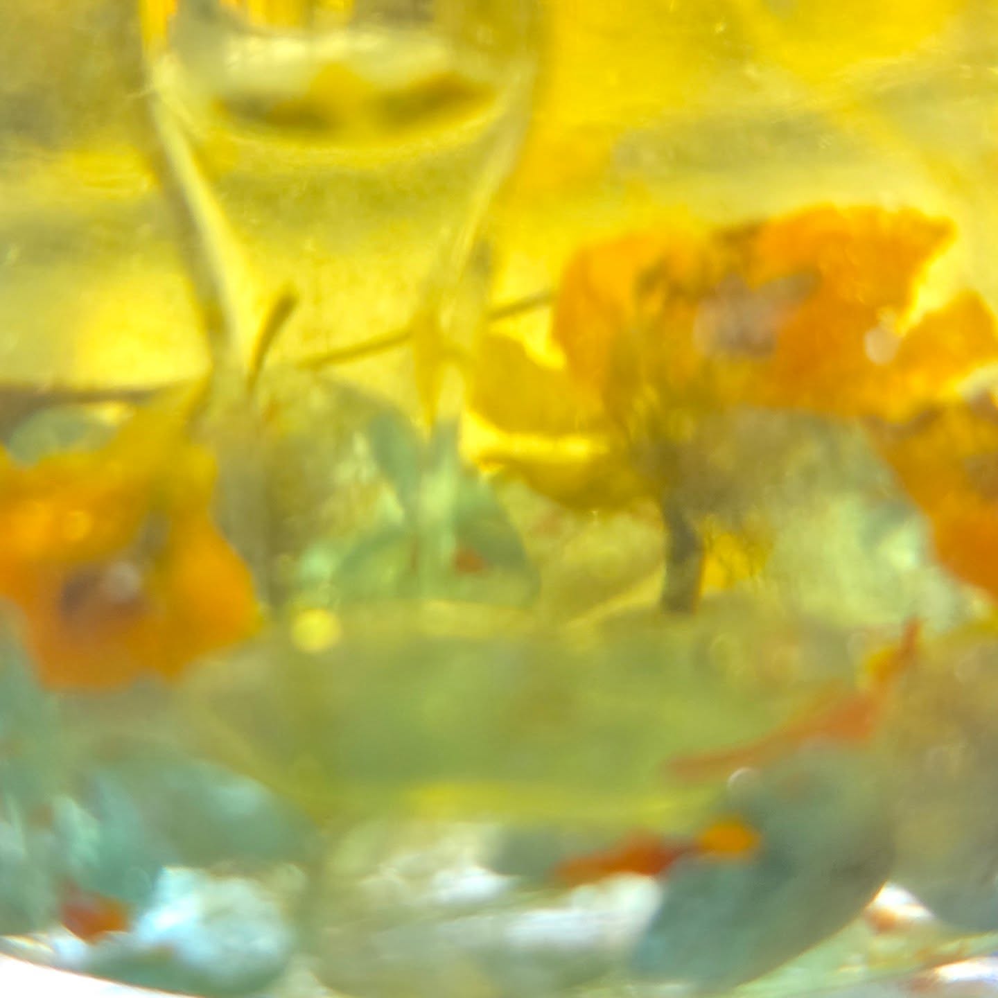 Dearest IG friends,
I wanted to let you all know that the day is almost here for Fae, Flower & Stone to formally be open for business! Doors will open on Saturday, July 19th, which will also be my 61st circle around the sun and another reason for an enormous celebration!
Those of you who know me well know what I went through in order to get to this healthier place in my life, and I’m so grateful I finally got here. Forever thanks to each of you who have gone through this journey with me – I will never forget the love and support you sent my way ((( <3 )))
Right now, I would so appreciate it if you would check out my “almost” finished website – the only things missing now are the Online Store, which is in its final stages and will be stunning and informative, and the Events and Services information. I’ve decided to do feng shui consultations again and am ecstatic about getting back to this. Also, if you’re near the gorgeous, sunny state of AZ, you’ll be able to attend my workshops and visit me at the local farmer’s markets (when it cools down, of course). And if any of my cherished Bright Life customers want me to come back out to Sarasota, I would be elated to host an event/workshop fun thing to do. www.faeflowerandstone.com
So, if you like what you see on the horizon, please sign up for my newsletter because this is how I will share most information about the business moving forward. Many people are connected to me via my personal FB & IG accounts, but I need to move it over to the Fae, Flower & Stone, so please make this transition with me. I look forward to the next part of this journey and being more connected with all of you again. xoxo
#FaeFlowerandStone #Flourish #EmotionalSelfCare #OrganicSkincare #HandcraftedSeasonalSmallBatchSkincare#AncientWisdomisModernSelfCare #NaturesHealingMagic #NaturalBeauty #FlowerEssenceTherapy #CrystalTherapy #SoundTherapy #Chakras #SustainableSkincare #multiuseskincare #SafeSkincare #EthicallySourcedIngredients #scottsdaleaz #sarasota #AZ #FL