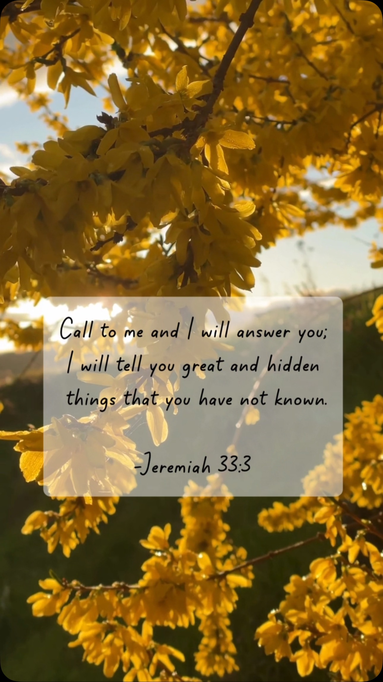 ✨ Sometimes, all we need to do is pause... and call.
God doesn’t just listen, He responds.
And in His response, He reveals what we could’ve never imagined.
#faith #bibleverse#divinewisdom #dailyinspiration #trustingod #hiddenblessings #spiritualjourney
