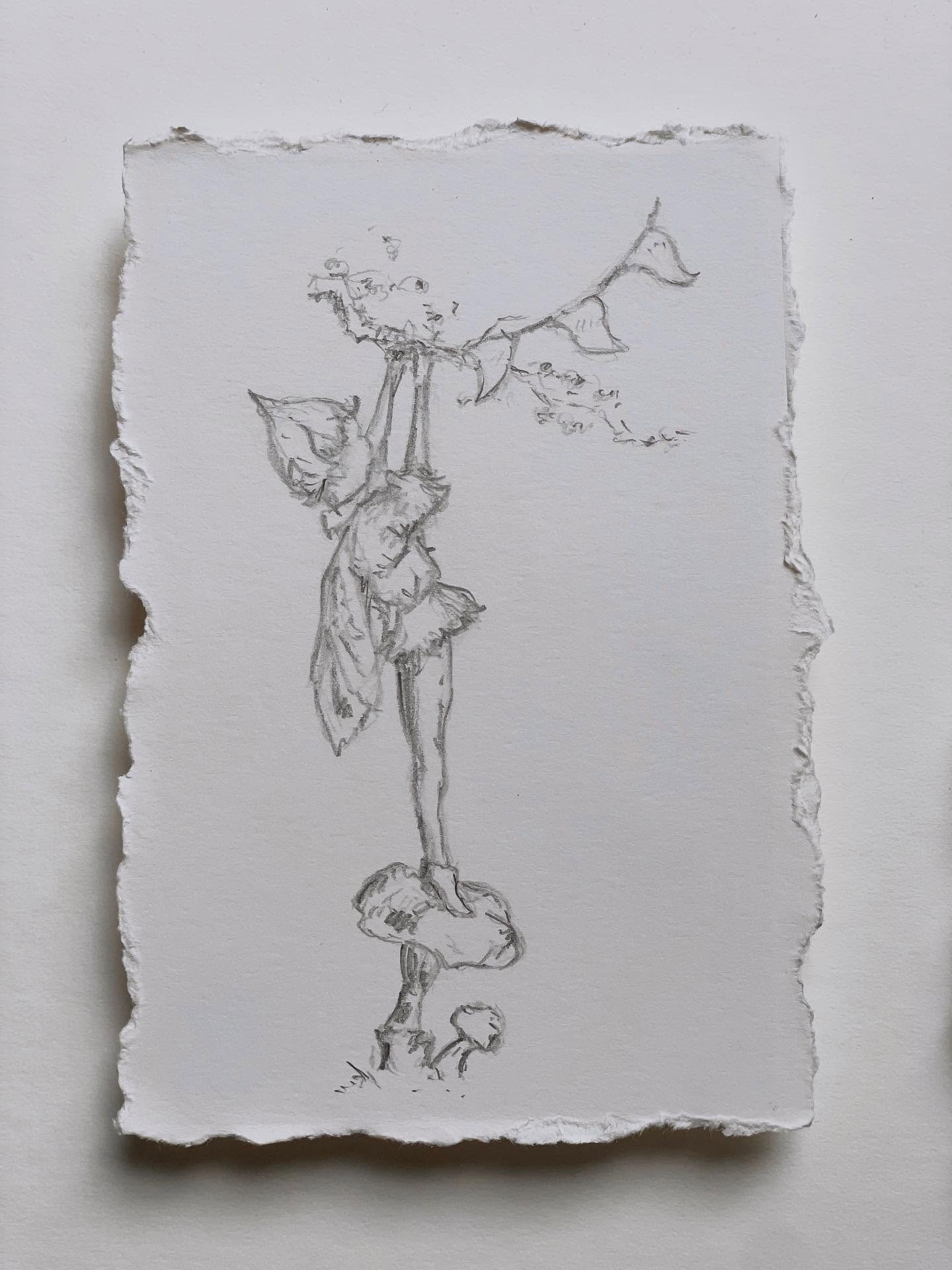 Bunting Faery