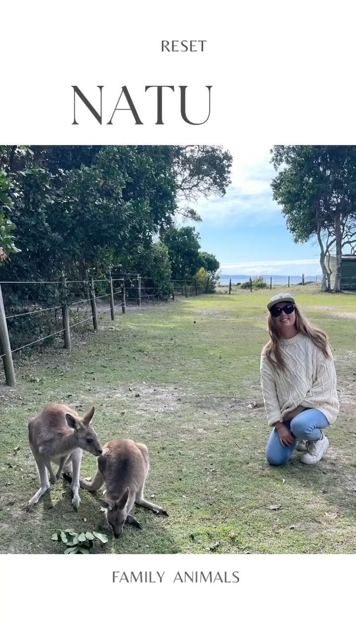 I’ve been quite quiet on here recently. Not because I’ve not been painting and creating. But because I’ve been sad and im not good at putting on a fake happy face, it doesn’t feel authentic and lack of authenticity is one of my pet peeves. I know that’s what social media is all about. Creating a facade. It’s my least favorite thing about it. It’s what leads to toxic comparisons and thinking everyone else has a better, happier, more successful life than you, when probably they don’t. So I’ve come on here with a raw dose of authenticity to say hi and yes life has been challenging. For quite some time it’s been challenging. Nothing too dramatic. But a steady flow of health issues, relationship issues, loneliness and a thin support network sometimes brings up all my grief. Sometimes you just want your mum 😞 but I do also count my blessings. To regulate again I know what I need. To lean in to the deep love I have for my children, to allow nature to hold me and to get a dose of animal therapy, provided here by the sweetest wild kangaroos. So I took my kids off to an amazing campsite and enjoyed all of the above in the lush Australian bush and can now feel my faith restored that everything will be ok 🙏 this is not a post to create worry. I’m ok. Just navigating life and its twists and turns just like everyone else is. And if you’re wondering yes I now want a pet kangaroo and yes I also know I can’t have one 😆 to anyone else navigating sadness or grief. I see you 💕