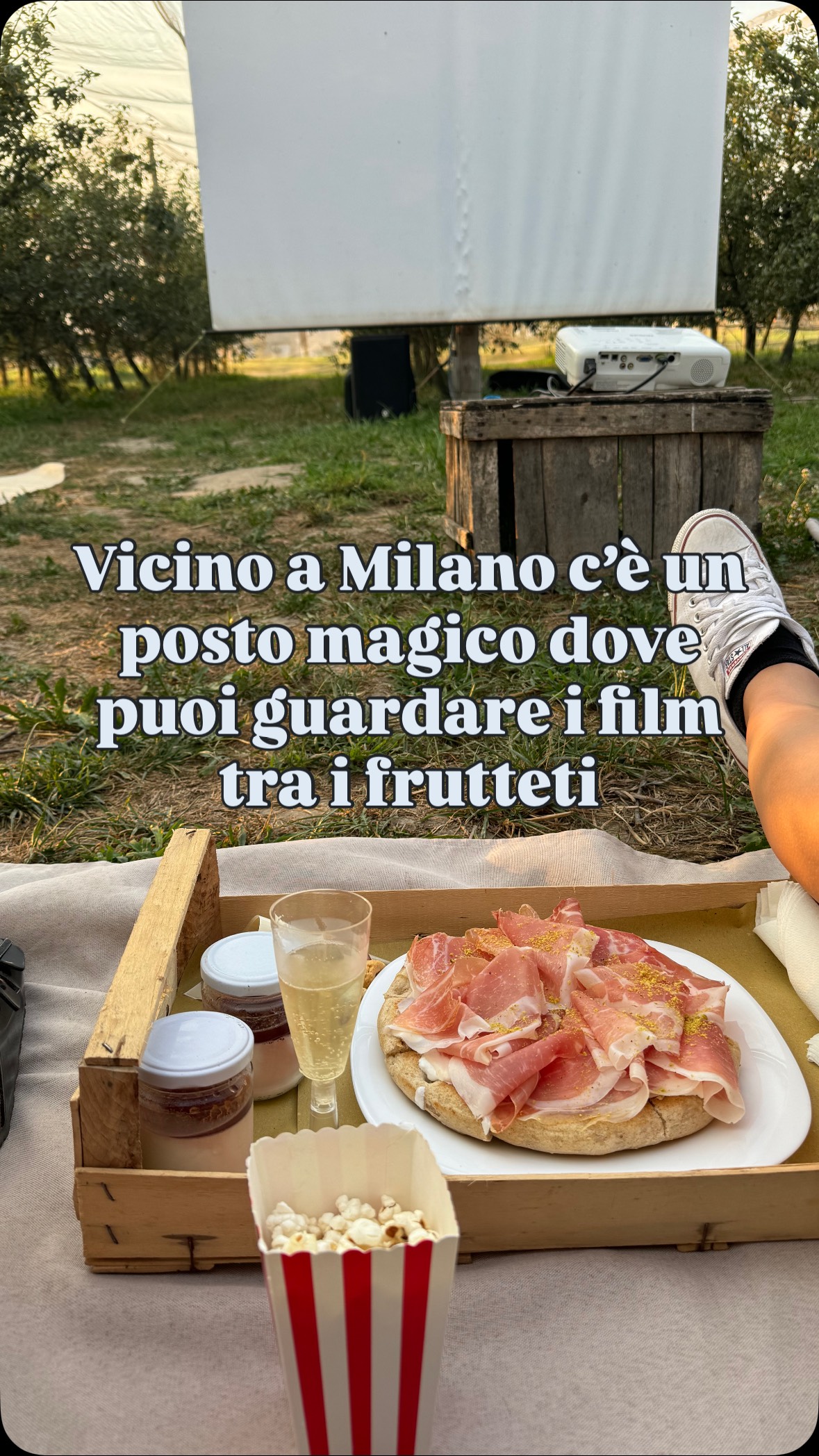 ✨ Hai mai sognato una serata perfetta con cinema sotto le stelle e un picnic da gourmet?
A un’ora da Milano, c’è un posto magico dove tutto questo diventa realtà.
🍿 Popcorn illimitati, focaccia con burrata e crudo, sidro artigianale, una box piena di delizie a km 0 e…
mentre ti godi tutto questo sei seduto tra i filari di un frutteto, con lucine appese e un’atmosfera da favola.
Siamo stati da @ilcascinetto per la loro serata Cinema in frutteto e ce ne siamo innamorati!
Ogni settimana c’è un film diverso e sul loro sito c’è la programmazione per tutta l’estate.
✨ Consiglio spassionato? Appena aprono le prenotazioni… corri! I posti volano.
🎟️ Quanto costa?
Il biglietto è 30 € a persona e include l’ingresso al cinema + la cena in cassetta picnic a km 0.
📍 Come arrivare?
Via Alessandro Volta, Salvirola (CR)
E per il parcheggio é direttamente disponibile a pochi passi dal frutteto, comodissimo!
👉 E tu, ci porteresti una persona speciale o preferisci una serata con gli amici? Scrivilo nei commenti!
cinema sotto le stelle | il cascinetto | picnic | estate
#cinemasottolestelle #PicnicGourmet #Estate2025 #lombardia #cinema #FoodAndMovie #IlCascinetto