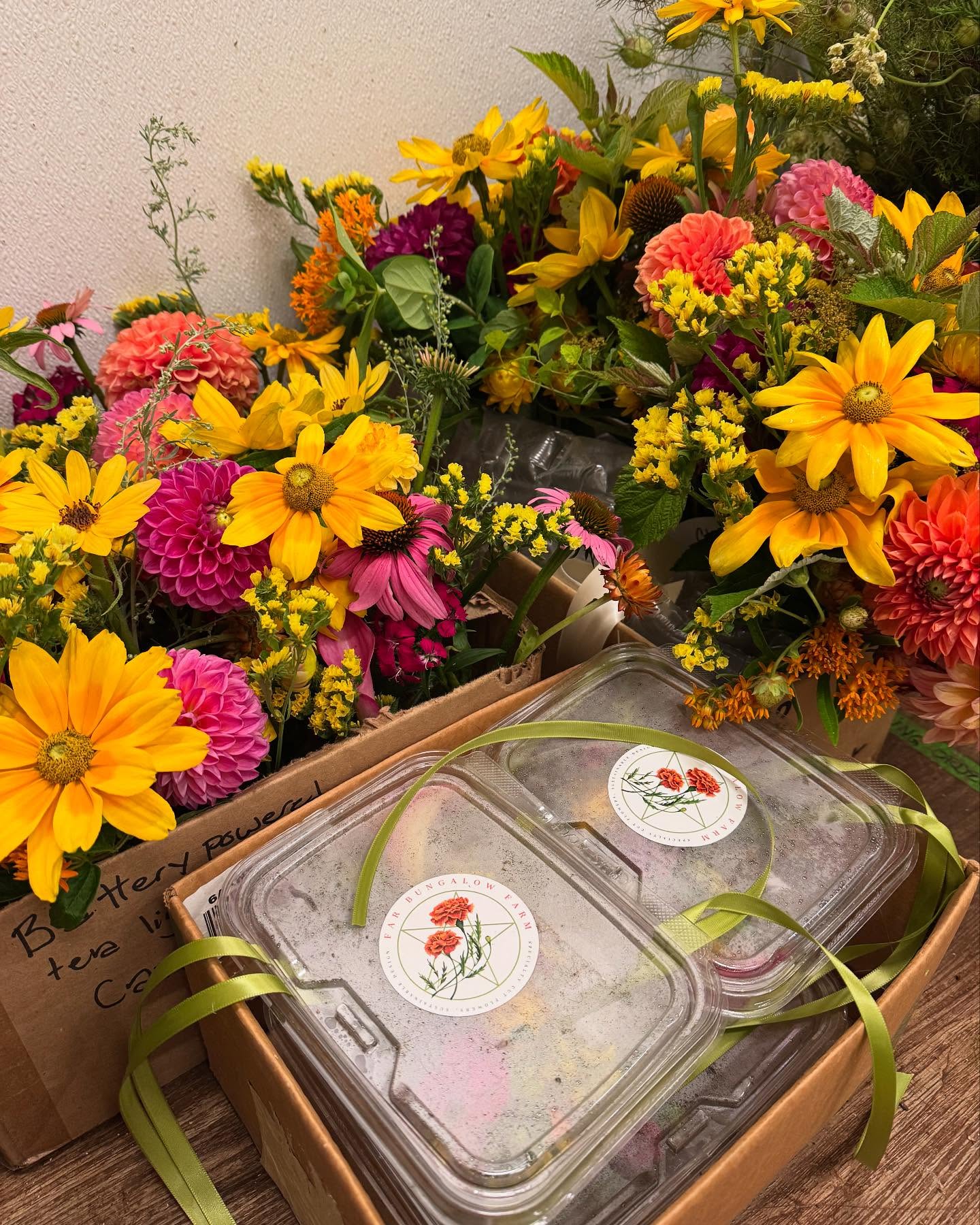 It’s the last day of #americangrownflowersweek and we just dropped off our first “A la Carte” wedding for Claire and Michel!
If local sourcing and sustainability is something you value as your are planning your wedding (or event of any kind really), and you have flexibility in your color palette and don’t want a lot of fuss around planning your florals check out our website and see if “A la Carte” florals from the Bungalow are right for you!
I am so excited to offer this format as an option- it’s accessible, budget friendly, flexible, and allows me to be creative with colors and use special little things from the farm that I don’t always have a practical use for when selling wholesale to florists and grocery stores.
While this country feels increasingly strange and scary- and doesn’t have me in a mood to celebrate it right now. I’m still honoring the land (Manahoac territory here at the farm) and am committing to stewarding this gift the best i know how. Growing lots of flowers- in step with the creatures and plants that live here with me.
#americangrownflowers #nofarmsnofood #migrantworkers #thisisamerica #4thofjuly #localflowers #loudouncounty #flowerfarmer #farmerflorist
How important is sustainability for you when planning your wedding/ event