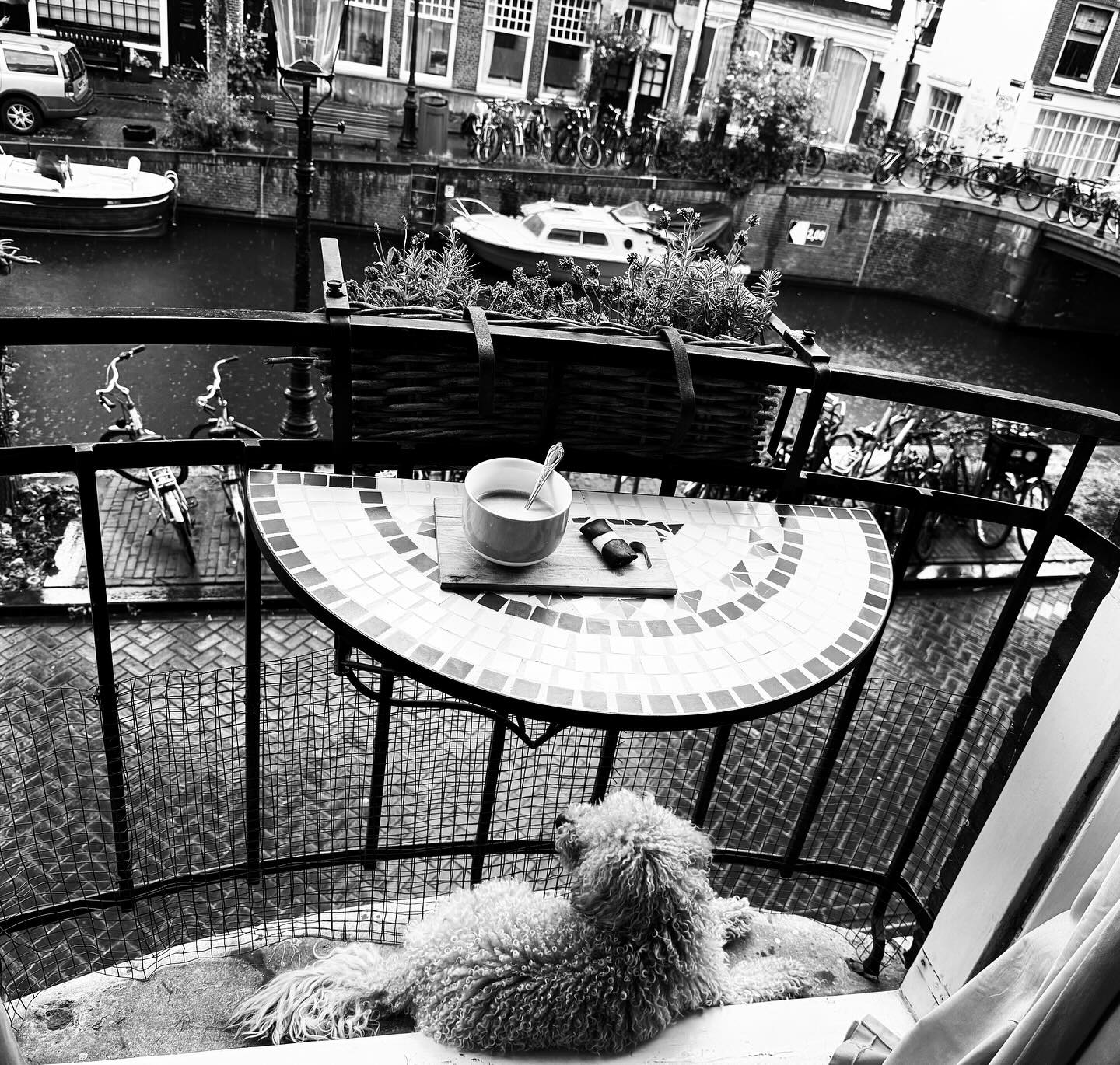 Coffee & Cookie