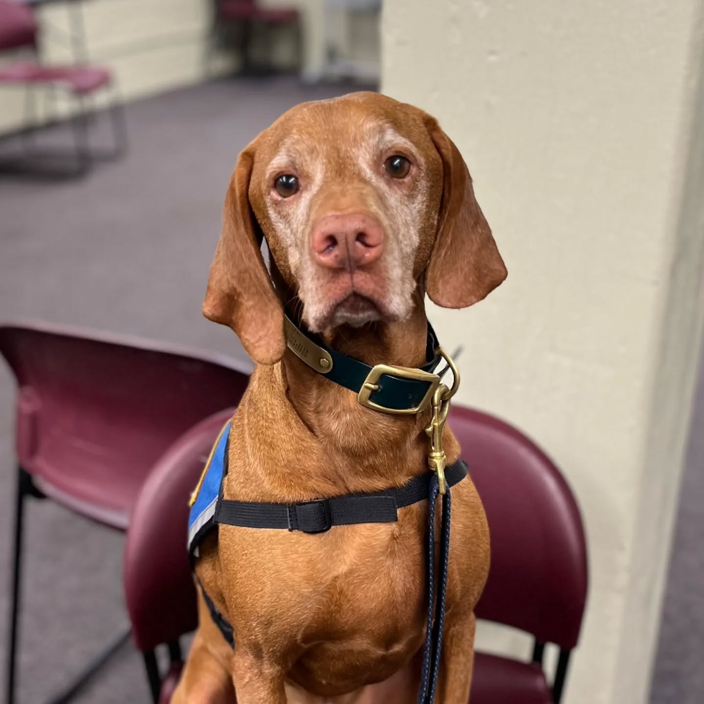 Happy 8th Birthday, Levi 🧡
Love you so much, buddy! Very appreciative that we got to spend your day with our friends in @ctcorps and at Haymarket.