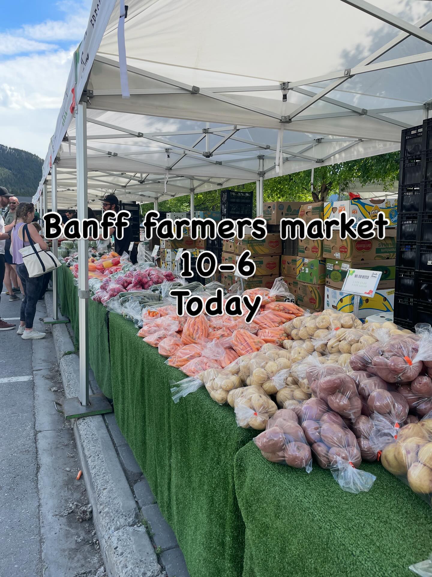 Check us out at Central Park Today 10-6