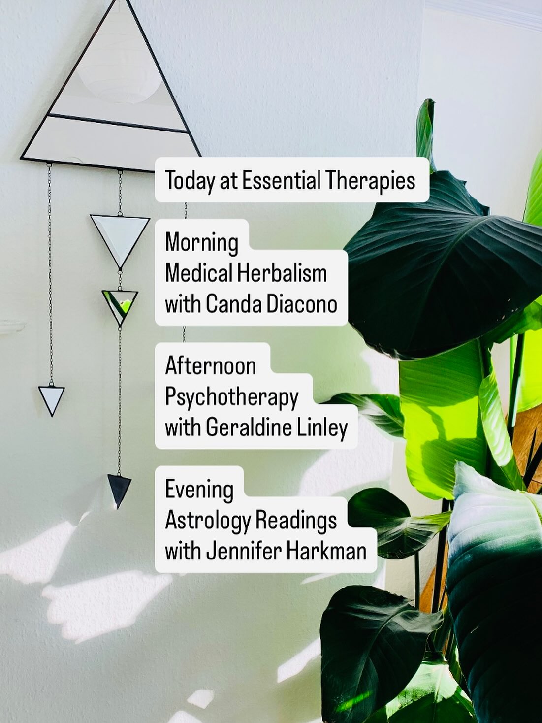 #astrology #herbalmedicine #counselling #sidmouth #devon #honiton #eastdevon #axminster #exmouth