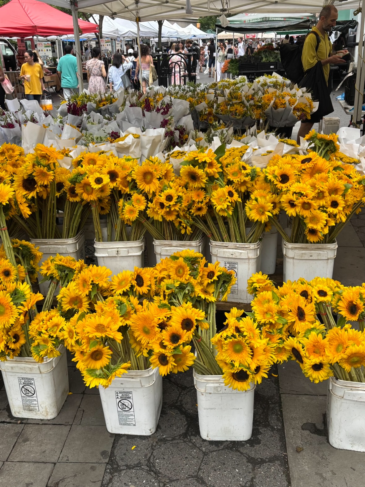 Farmers markets and some recent laminated goods I’ve been making
#farmersmarket #summercooking #recipe #bakingrecipe #cookingforamici #nycbaker #nycfood #foodnyc #foodguidenyc #nycrecs #bakerlife #cookingforme #summerinspo #summermeals #vegetarian #vegetarianrecipe
