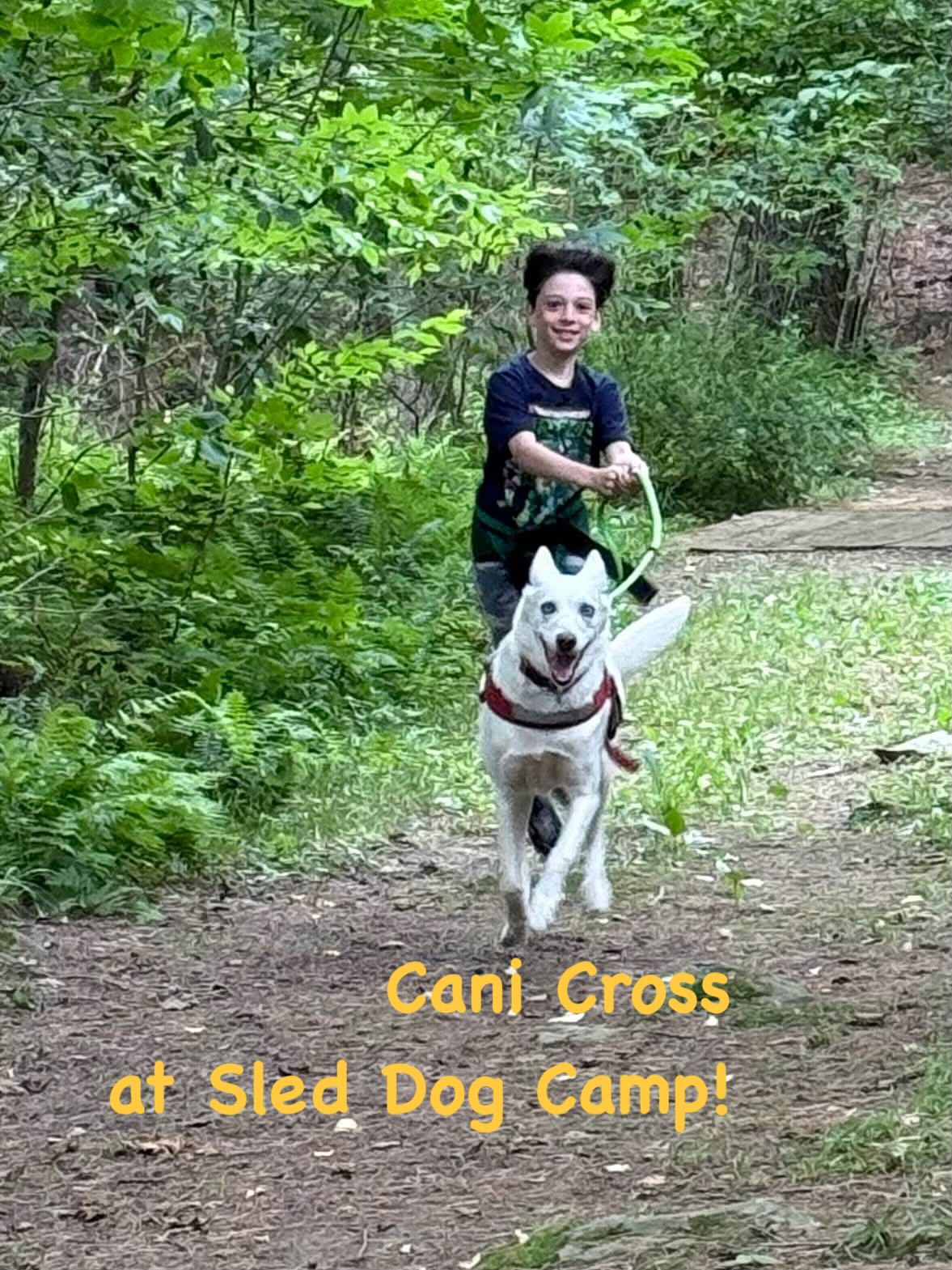 Sled Dog Camp! Cani Cross, Swim, Run, Hike, Play in the Pens with your new best 4 legged friend:) #canicross #sleddogs #sleddogcamp #mybestfriend