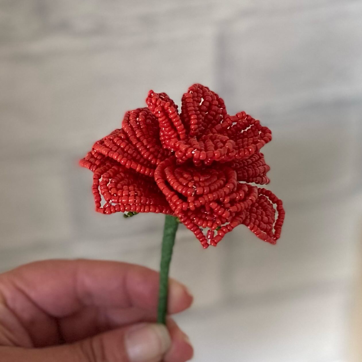 The magnificent Rose…new kit coming soon. I’ve been working on this pattern a while now so I’m delighted to say it will be available shortly!
#rose #rosesarered #beadedrose #beadedflower #thebeadedgarden #newpattern #newkit #comingsoon