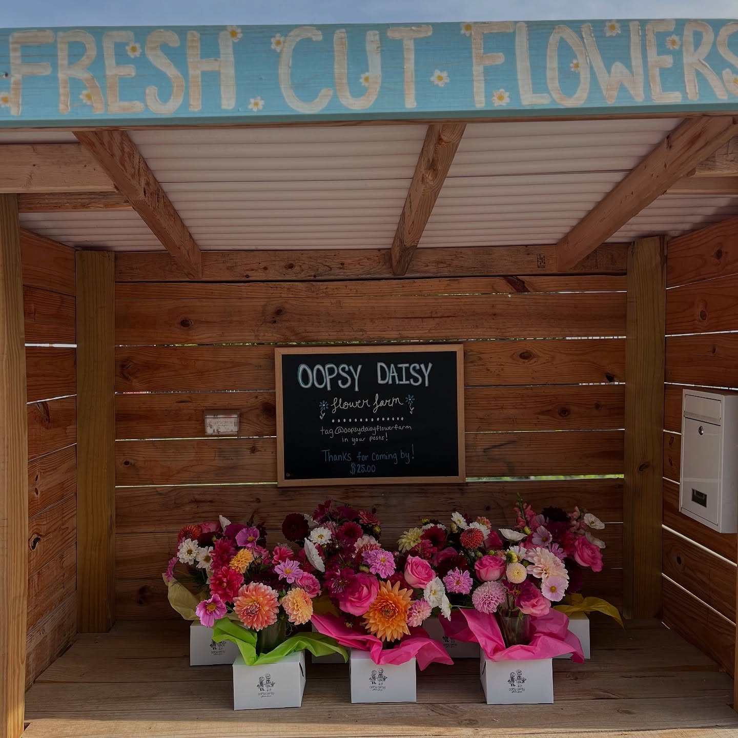 ***1 left***
Happy opening day to the flower stand!
A cold rainy spring pushed us back but the day is finally here!
Check story for address - no re stocks! Come and get em! ❤️🎉❤️🎉