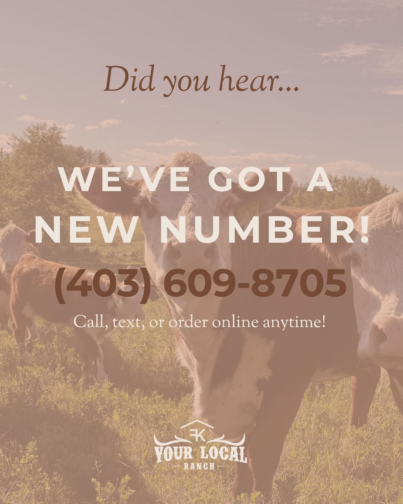 📞 New Number, Same Great Beef! 📞
We’ve got a new number - and we’re just a call or text away.
☎️ Call us
💬 Text us
🛒 Order online anytime