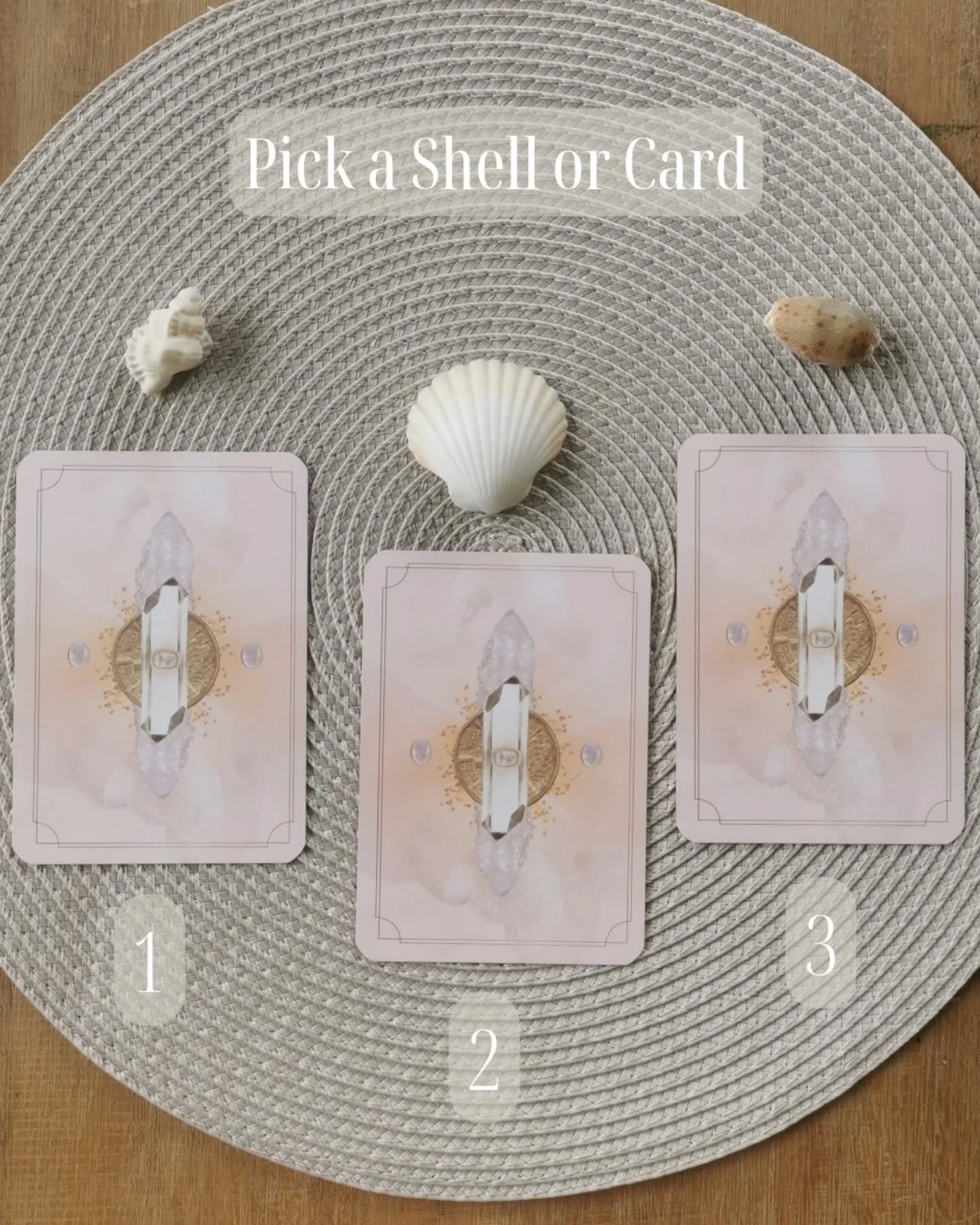 ✨🐚 SHELLS & CARDS 🐚✨
Pick a shell or a card… or let your spirit soak in all three. This reading is a sacred check in, a gentle pulse on what’s unfolding within. A whisper to your intuition, your courage, your inner ocean.
Let your energy choose where to drop anchor 👇 Scroll to receive your message.
1: The Truth Caller: Expression + Intention
💫 Your voice is a vessel for healing, use it.
There’s a truth within you that’s no longer content to stay quiet. The Truth Caller amplifies your voice, calling you to speak clearly, unapologetically, and from the heart. Moss Agate and the Heart Chakra remind you that your intention is your compass, speak not to control, but to connect. Let what you say come from truth, not tension.
2: The Threshold Keeper: Transformation + Empathy
💫 The next chapter begins with compassion.
A sacred turning point is here. The Threshold Keeper invites you to step forward, even if your knees shake, while Empathy softens the path. This pairing reminds you crossing thresholds doesn’t have to mean pushing through. It can be gentle, held, and heart-led. Honour what you’ve outgrown. Trust where you’re heading.
3: The Visionary: Expansion + Introspection
💫 You’re allowed to change - beautifully.
You’re being called to refine, reimagine, and expand, not through force, but grace. The Visionary sees the long game, the soul spiral, the beauty in slow evolution. Paired with Introspection, this is an invitation to lovingly edit your life. To observe what’s ready to shift… not because it’s broken, but because you’re growing.
🌀 Let me know which card or shell you chose in the comments below, or if more than one found you, that’s okay too. The ocean doesn’t speak in straight lines 🌊
#ShellOracle #IntuitiveReading #EnergyHealing #PickACard #ShellDivination #TheShellOracle #SpiritualGuidance #XeniaOnEarth #ChannelledMessage