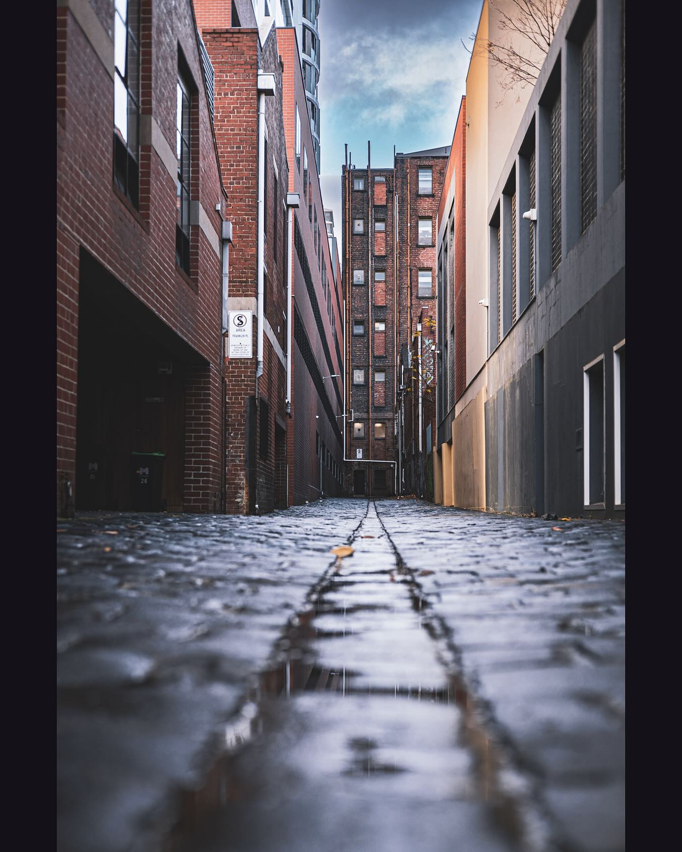 Wet winter laneways of Melbourne.
Photographer: @adamd_photos
Camera: Canon R8
Lens: RF 50mm 1.8 STM
#melbourne #melbournecreativecommunity #photography #laneway #winter #cityscape #lowangle
