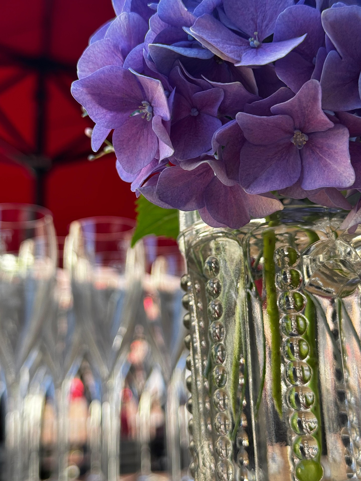 Veranstalten Sie Ihr Event in einem einzigartigen Rahmen!
Sind Sie auf der Suche nach einem besonderen Ort für Aperitifs oder Gänge-Menüs? 🥂🍴 Lassen Sie sich von der beeindruckenden Atmosphäre des Museums für Neue Kunst inspirieren!
Genießen Sie die Kunstwerke und die einmalige Architektur, während Sie Ihre Gäste verwöhnen.
- Individuelle Menüs: Ob Aperitivo oder mehrgängiges Menü, wir gestalten Ihr Event nach Ihren Wünschen.
Wir sorgen dafür, dass Ihr Anlass unvergesslich bleibt!
Möchten Sie mehr erfahren? Kontaktieren Sie uns unter: ✉️ kontakt@la-terrazza-freiburg.de und lassen Sie uns gemeinsam Ihre Vision verwirklichen!
#Eventlocation #MuseumfürneueKunst #Aperitivo #GängeMenü #LaTerrazzaFreiburg