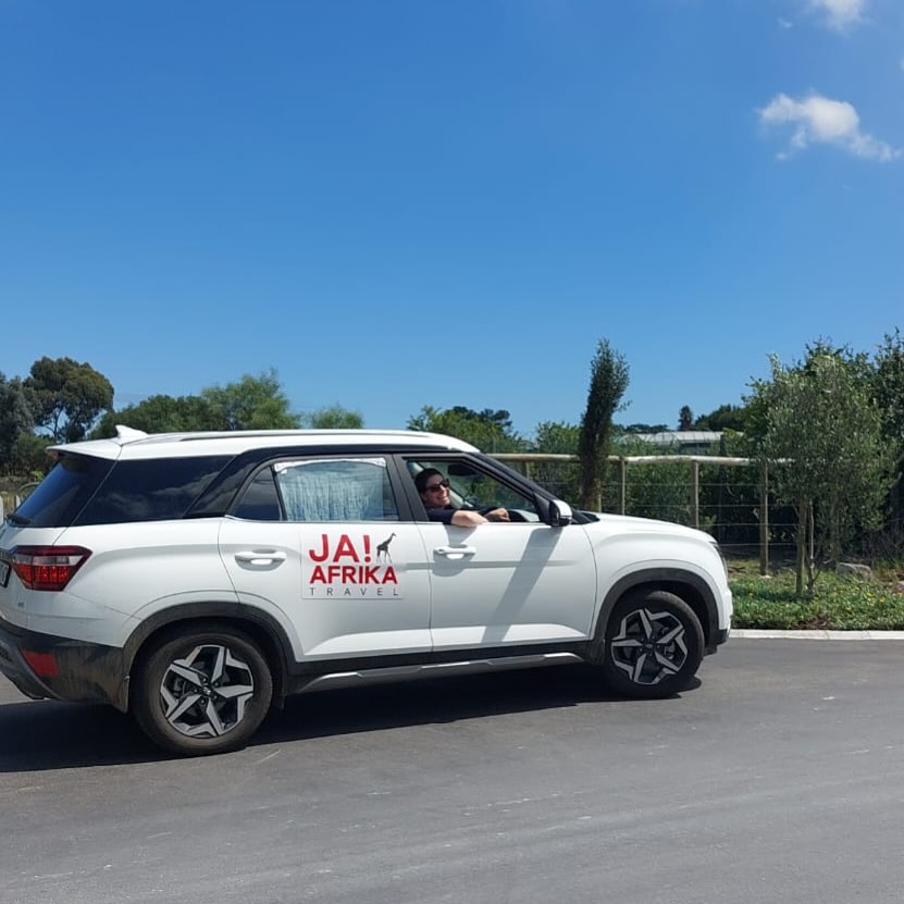 Je eerste uitdaging in Zuidelijk Afrika? Niet de leeuwen. Niet de grensovergang. Maar… links rijden. 🚗 ⬅️ Geen zorgen, na dag 2 voelt het alsof je nooit anders hebt gedaan! 🇿🇦
#LinksRijden #SelfDriveSafari #AfrikaAvontuur #JaAfrikaTravel #ZuidAfrikaRoadtrip #ReisZuidAfrika #SafariMetAuto