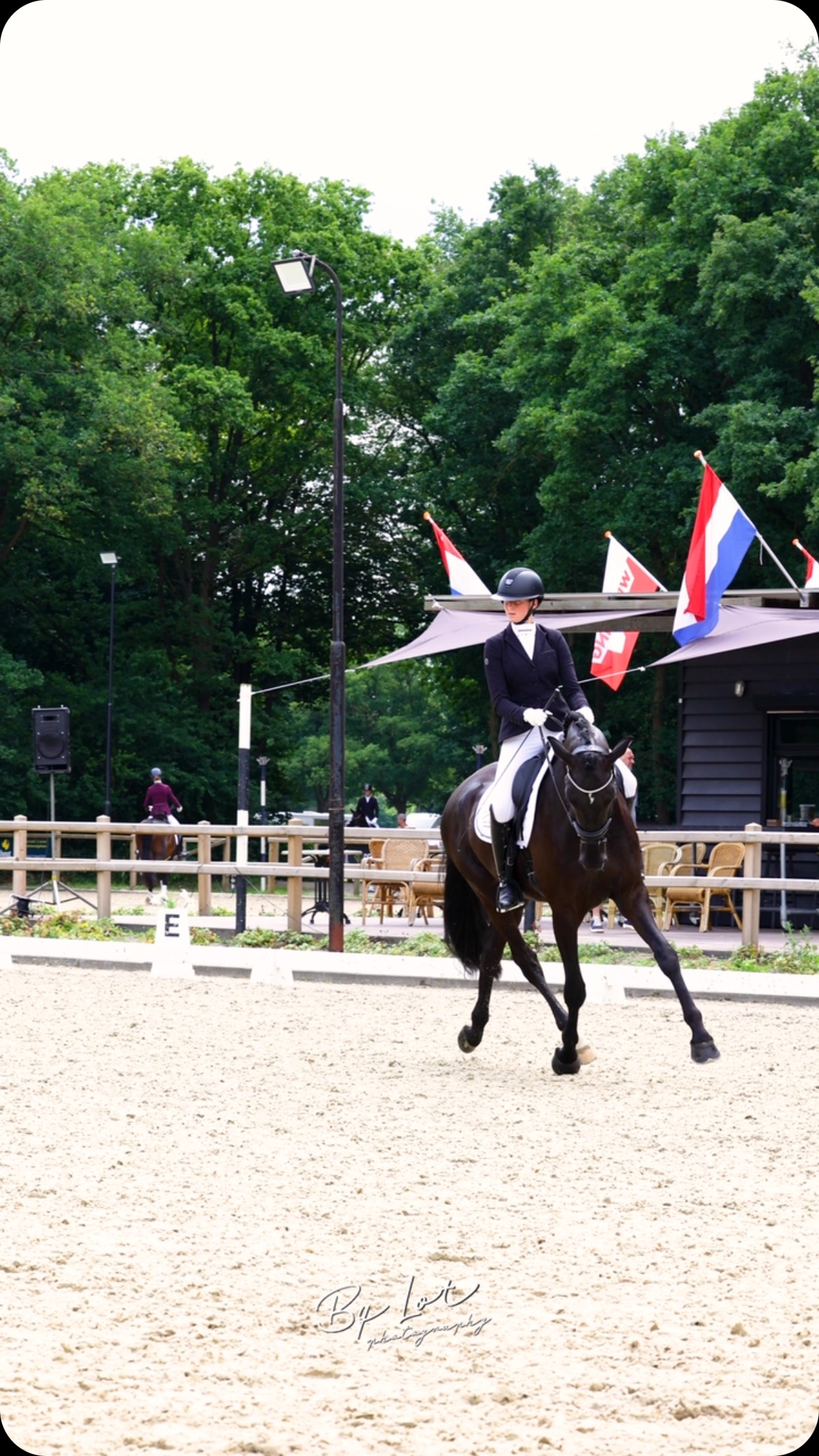 Royal🧡
Tijdens de 4 jarige paarden pilot werden we op onze tweede wedstrijd samen 3e met 70% daarbij hebben we een plekje bij de knhs-kampioenschappen jonge paarden🥰
@bylotphotography
