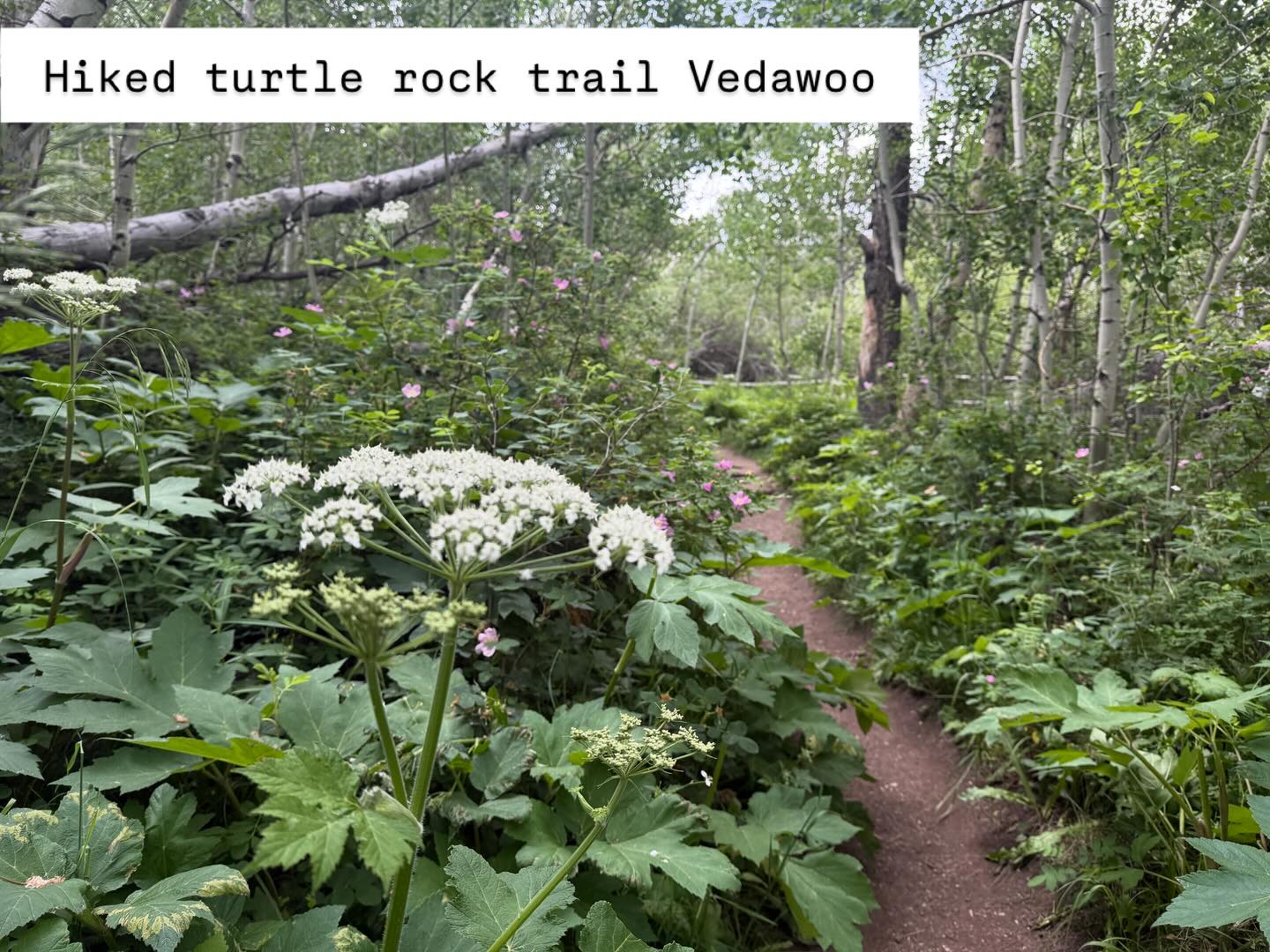 Ended a great day with installing Baba to her forever home by the river. The first two of her kind didnāt survive and she prefers a life in the trees in hopes that her life will be long and fulfilling.
The hint for finding her is SE of Toadtopia, W of the heart, near the best sounding part of the river, but off the beaten path. #babamona #creatures