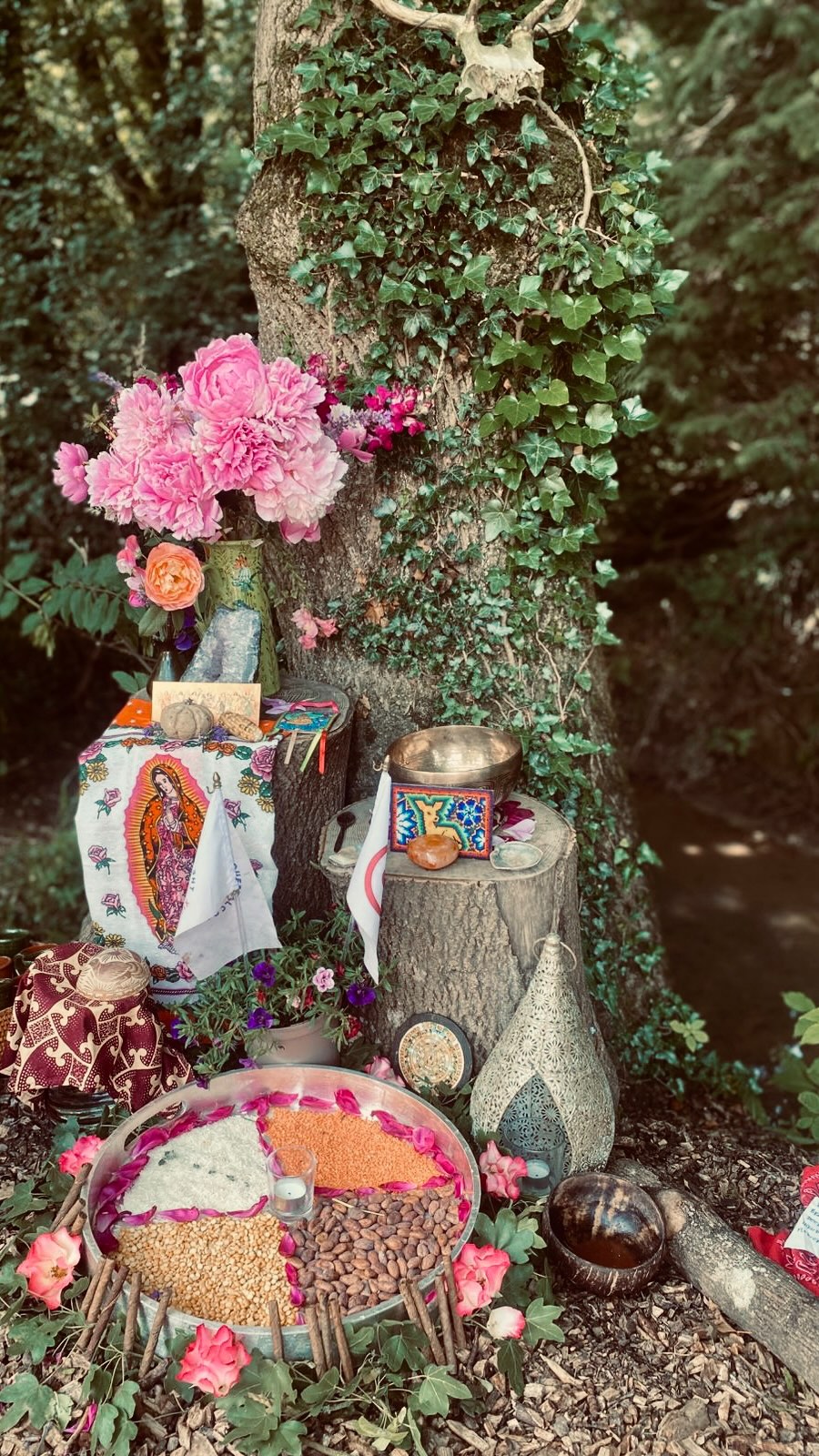 Such a blessing to come together in heart and harmony.
A true joy to co-create beauty and magic, and open space for healing, transformation, and remembrance.
To sit in silence and song, prayer and presence.
To gather as one family - with all beings, seen and unseen.
And to receive the blessings of the natural world, affirming our path and our prayers for a more beautiful world.
Thank you @michellebuttonexperiences , for such sweet co-creation, for your radiant heart, your vision, and all the weaving that brought this to life.
Thank you, Tatewari, for holding us.
And thank you to all the unseen allies who heard our prayers.
.
.
.
#Ceremony #SoundAlchemy #TheBeautyWay #SacredGathering #RiseInLove
#ShamanicSoundscape #CeremonialGathering #SacredCircle #WalkingInBeauty
#EarthMedicine #CacaoCeremony #AncientFuture #SpiritualCommunity
#ConsciousGathering #AwakenYourSpirit #MedicineOfTheDeer
#HarmonicResonance #FullMoonCeremony #mindbodyspirit #cacao #tatewari
#sacredcacaoceremony #shamaniccacaoceremony #plantmedicine
#soundhealing #heartopening #healingjourney #selflove #raiseyourvibration